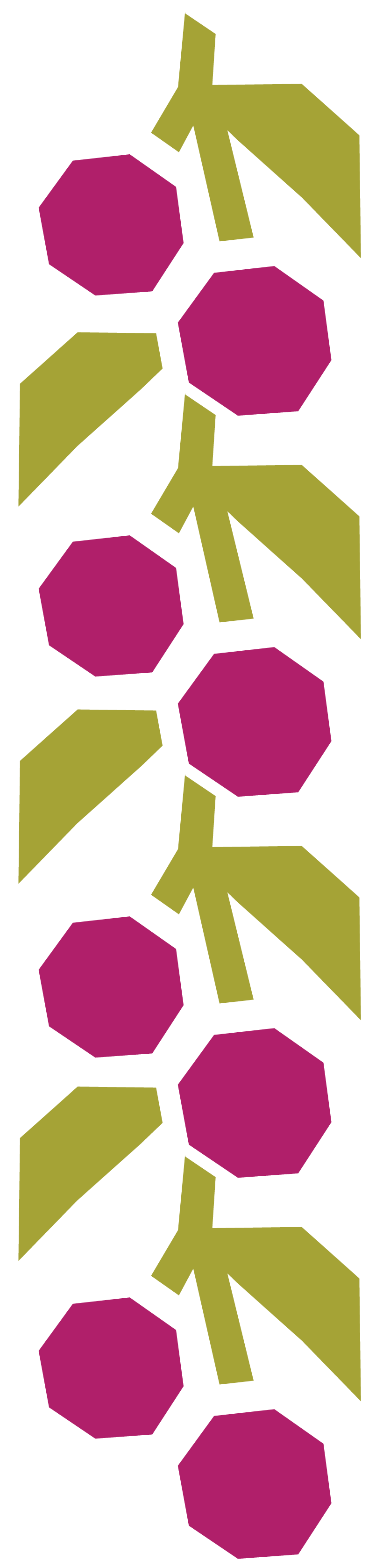 A pattern of purple cherries and green leaves to represent mahleb