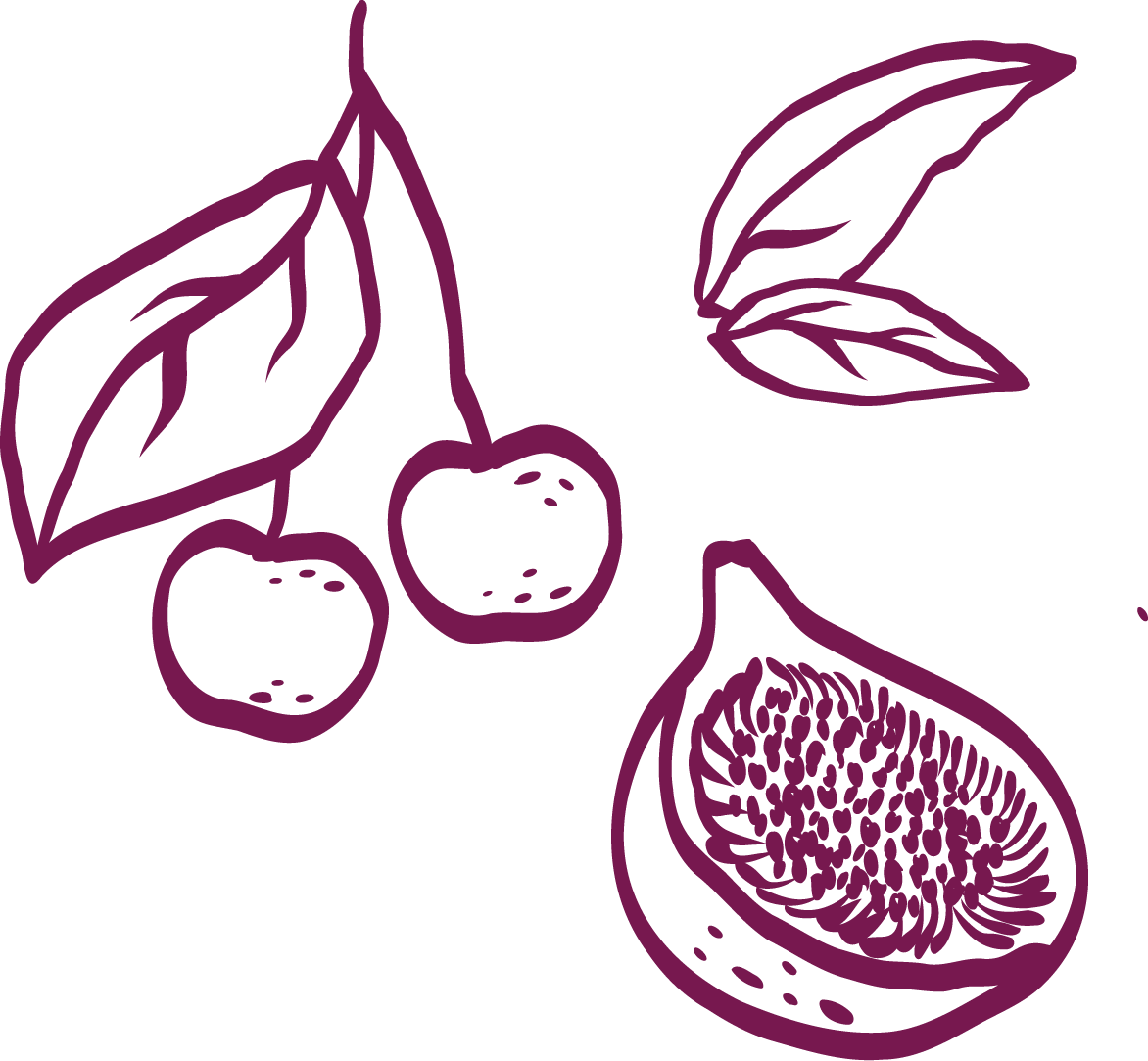Outline drawing of cherries on a branch, a fig, and a pair of leaves, all in purple.