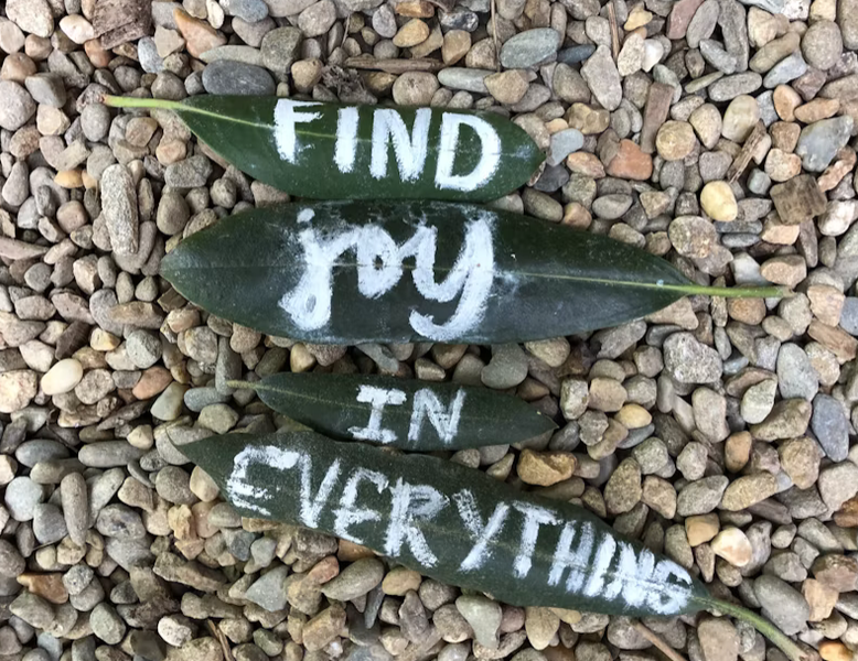 Find joy in everything