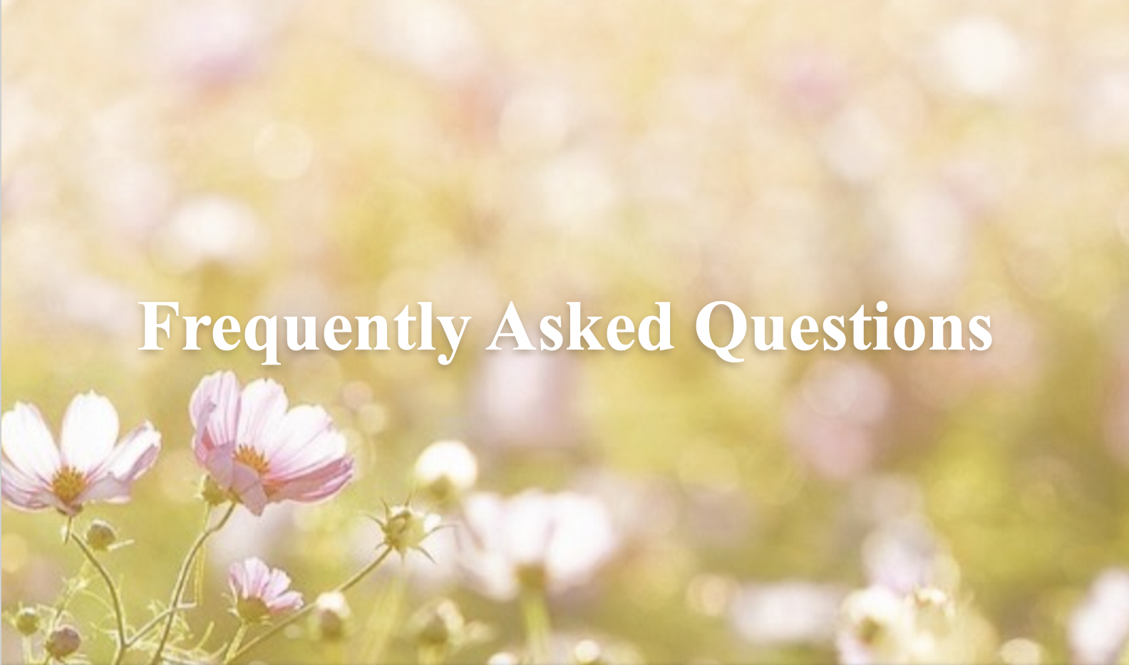 Frequently Asked Questions for Catherine Goodman Sausalito Reiki Master Practitioner