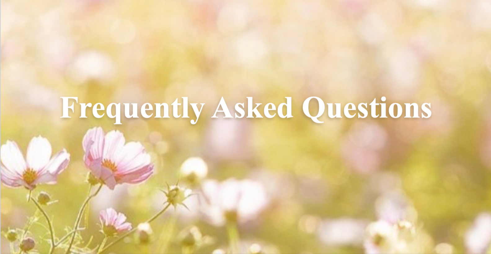 Frequently Asked Questions
