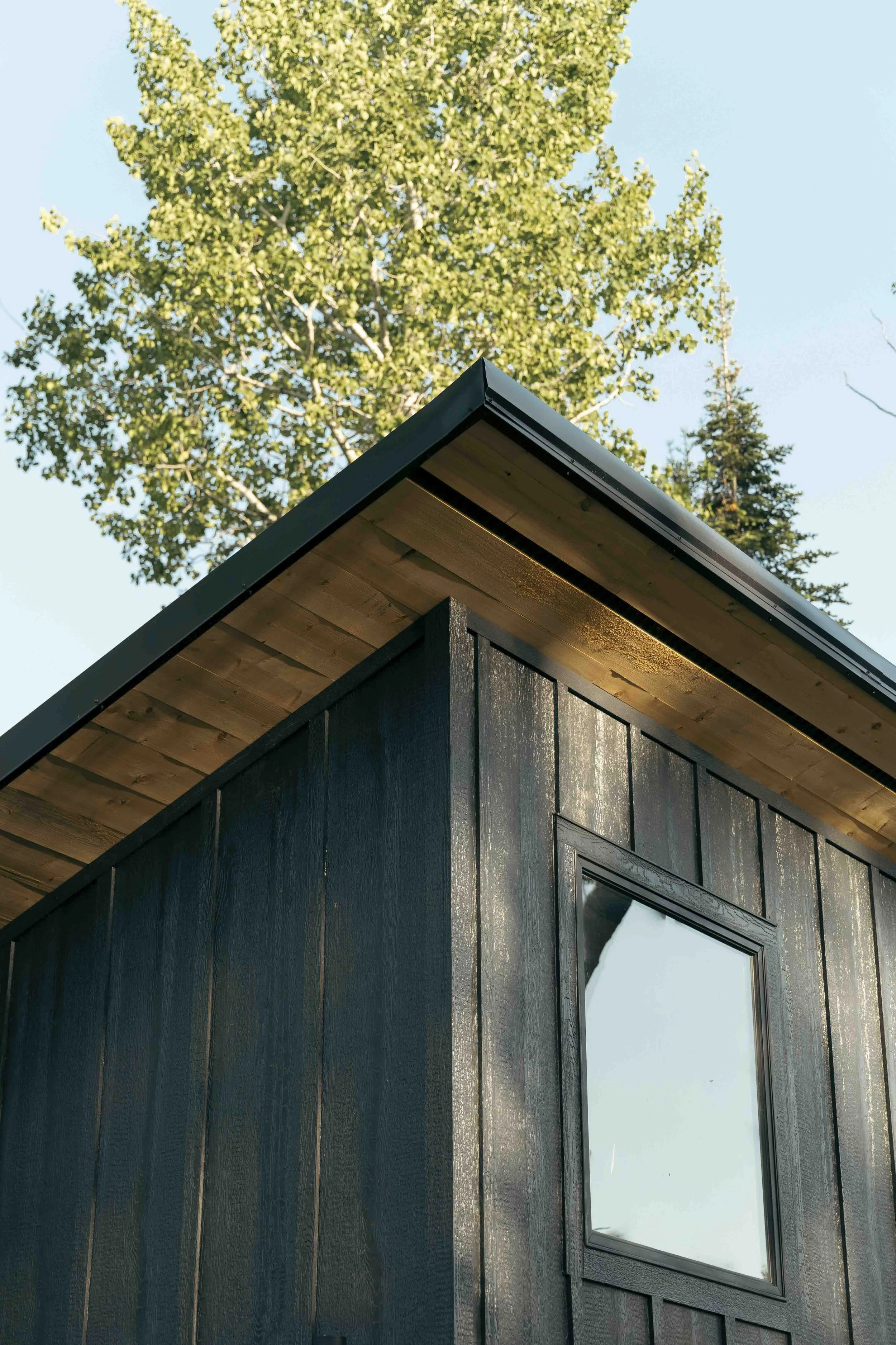 Close-up of a modern black wooden house with a large window, corner roof with overhang, and a tall green tree in the background under a clear sky.