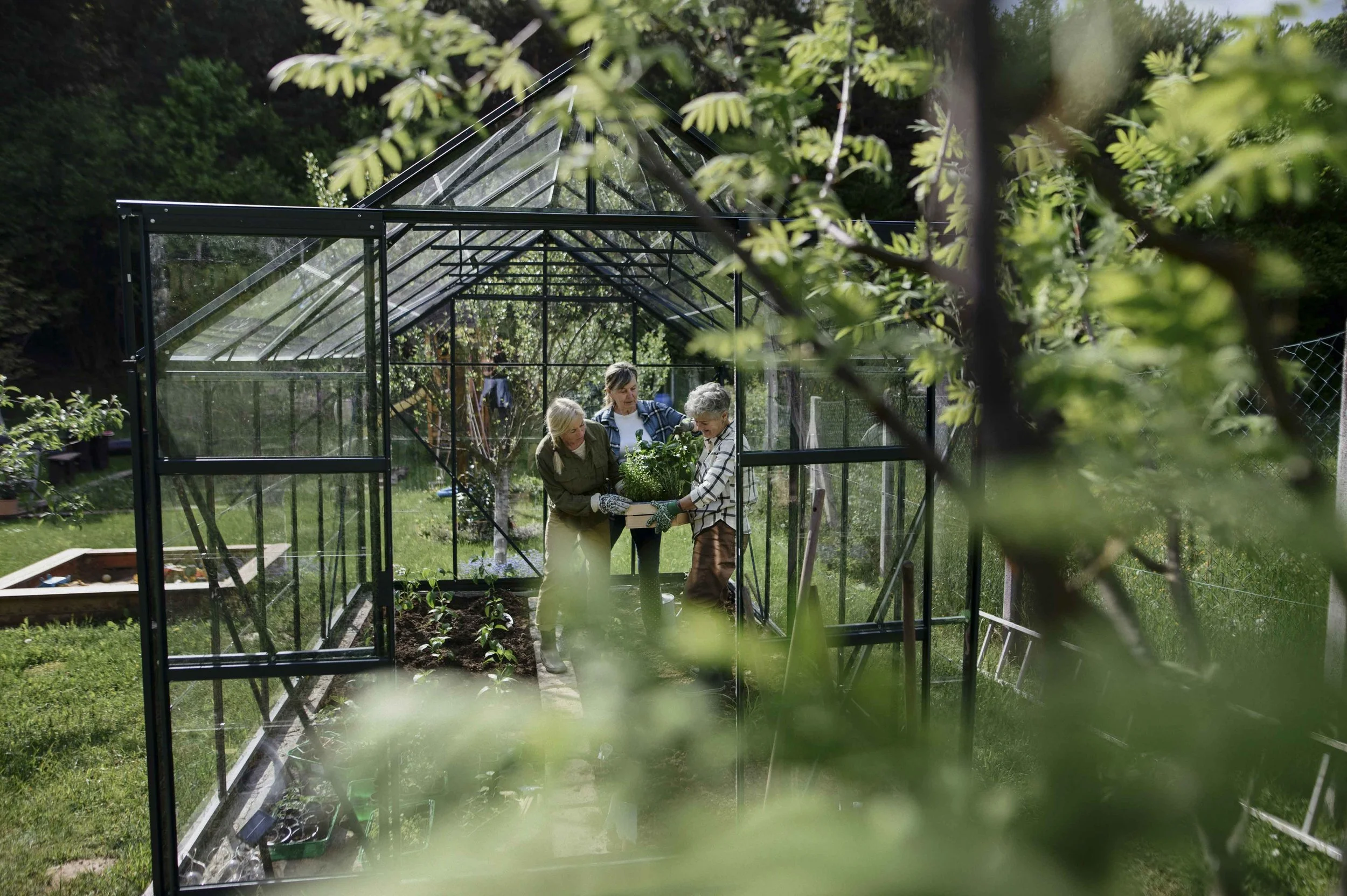 Three people working together inside a greenhouse in a garden, planting or tending to plants, with lush greenery surrounding them.