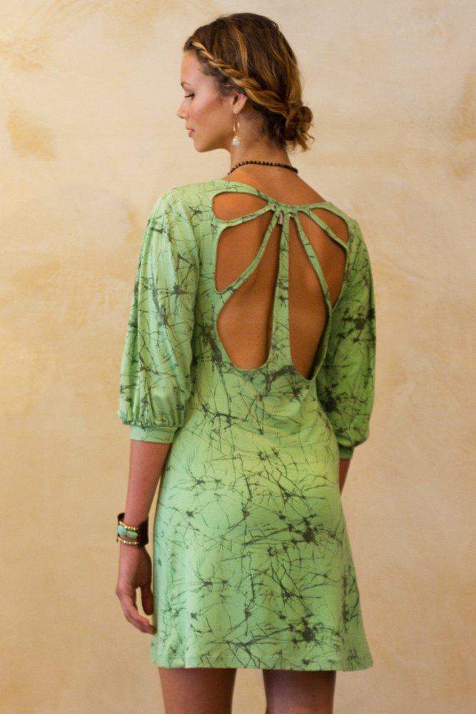 DR 238 back better.jpg