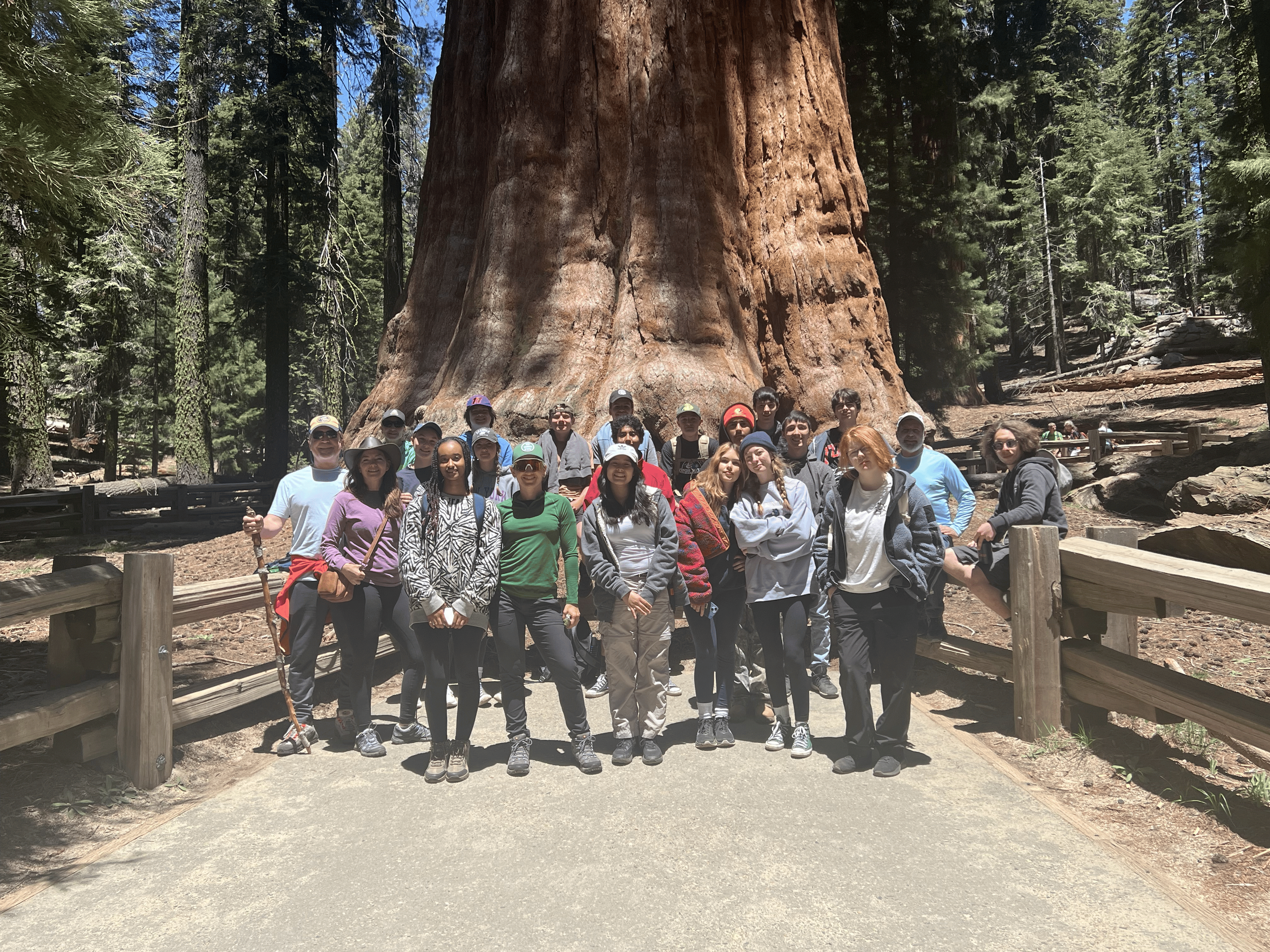 A group of people standing in front of a large redwood tree in a forest, with many other trees and a clear blue sky in the background.