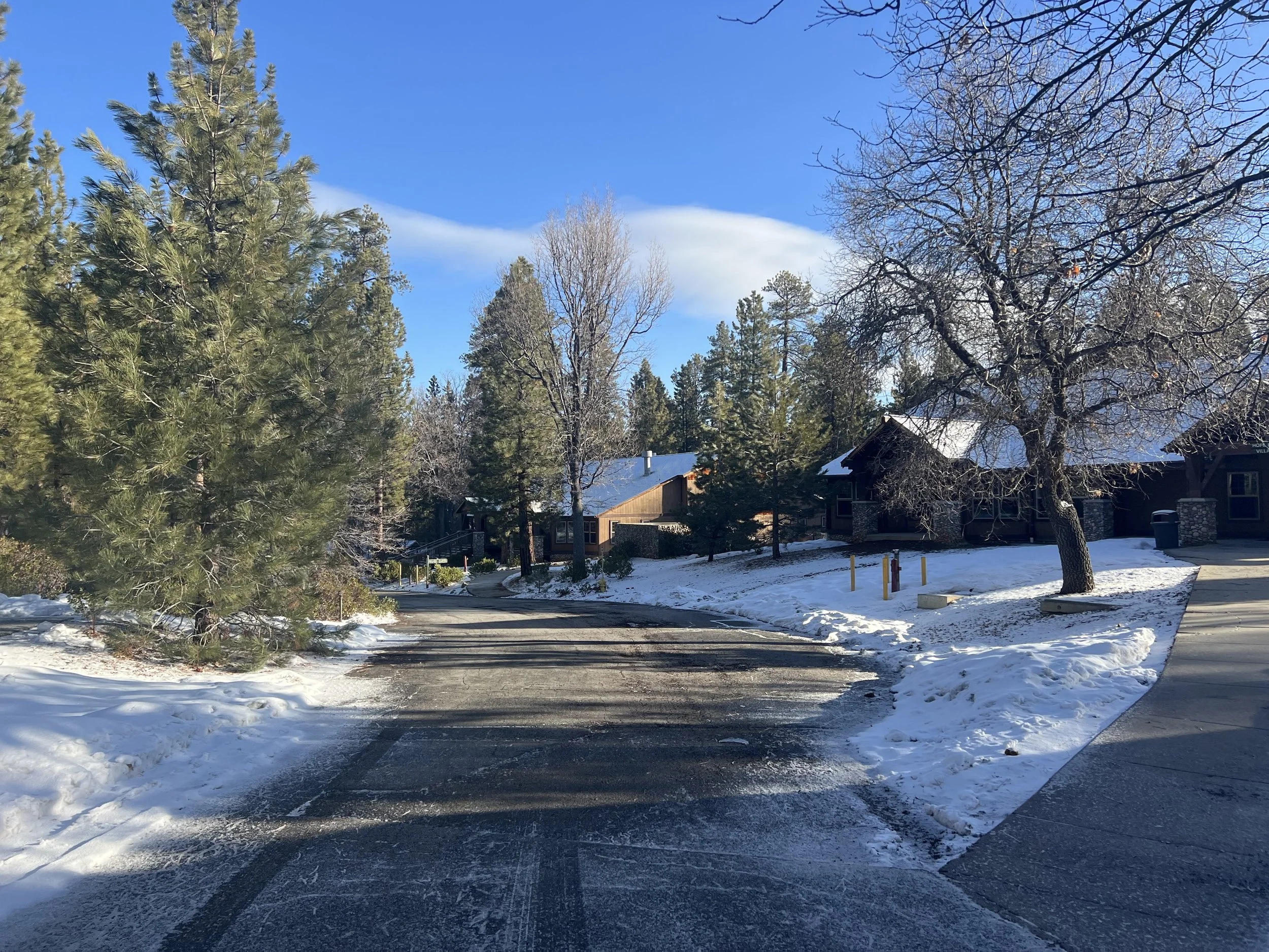 A residential neighborhood with snow on the ground and rooftops, tall trees including a pine, leafless trees, and a blue sky with some clouds.