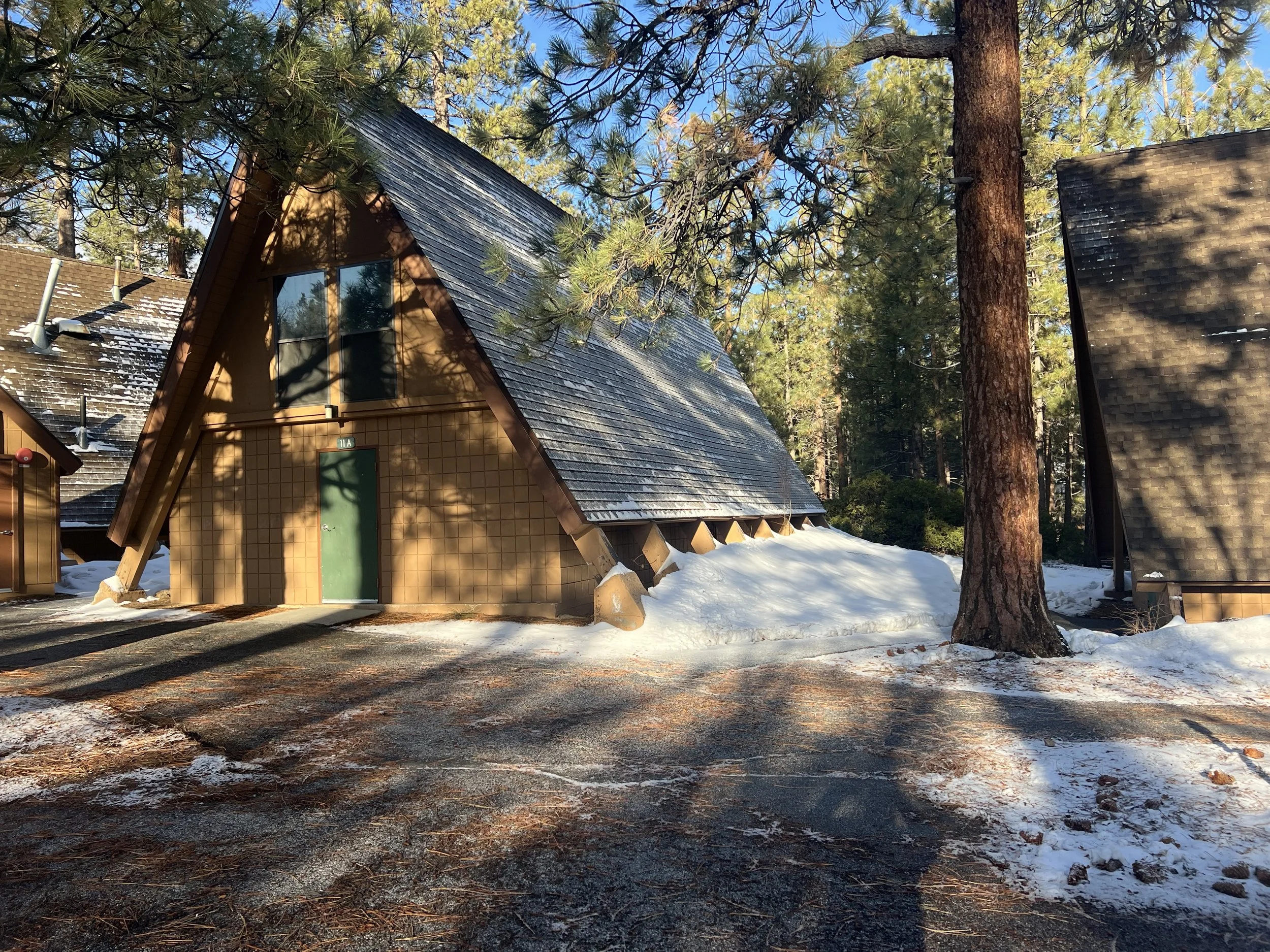 A tan-colored A-frame cabin with a green door, surrounded by tall pine trees, some snow on the ground, and clear blue sky overhead.