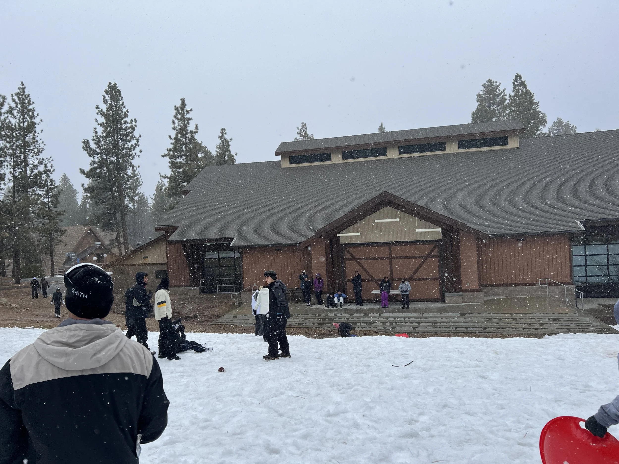 People in winter clothing playing in the snow outside near a brown building with a gray roof, surrounded by tall pine trees, during a snowy day.