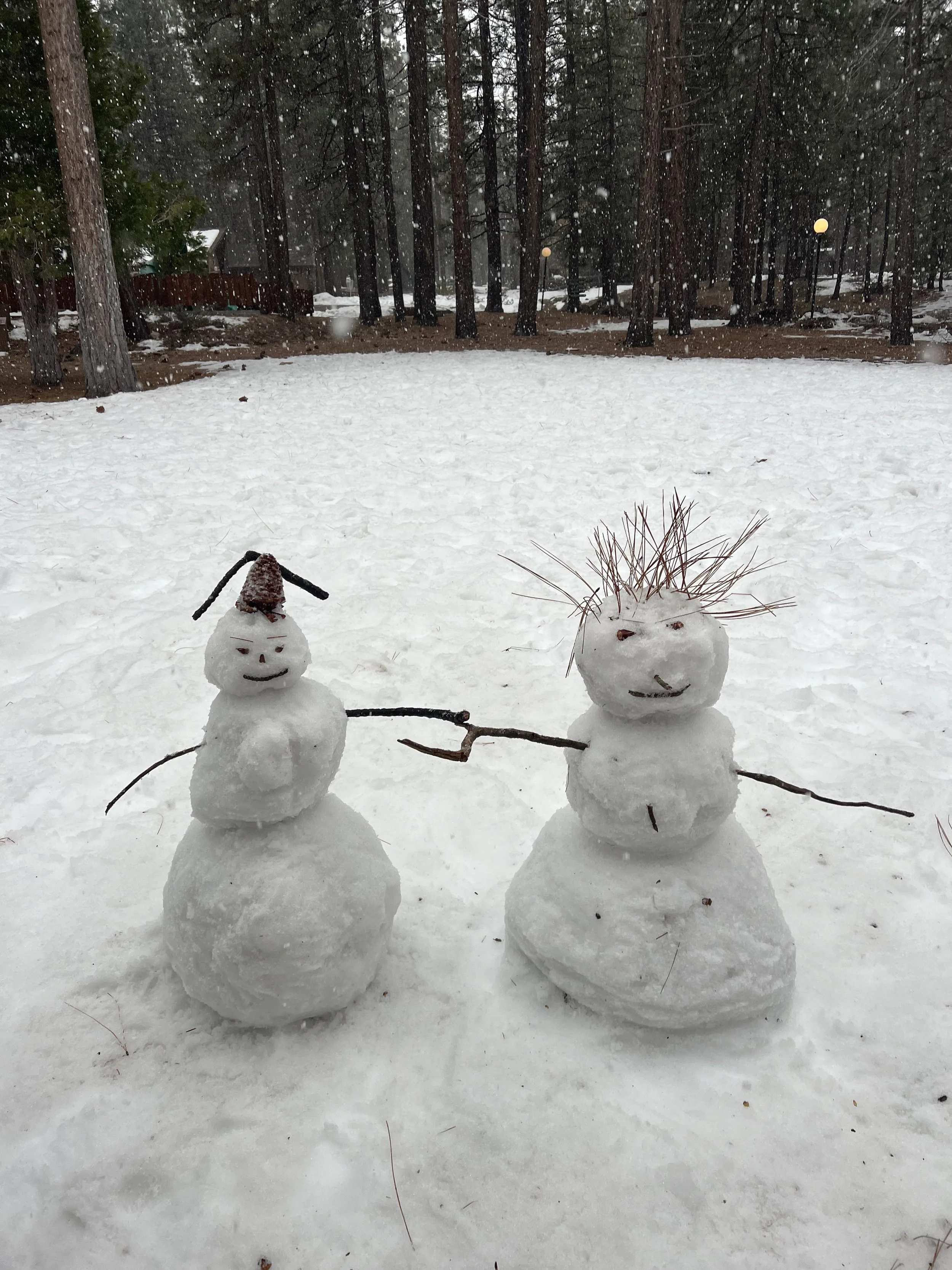 Two small snowmen made of snow, each with a face, a branch arm, and a pinecone or plant on top, standing on snow-covered ground in a wooded area with trees and lights in the background during snowfall.
