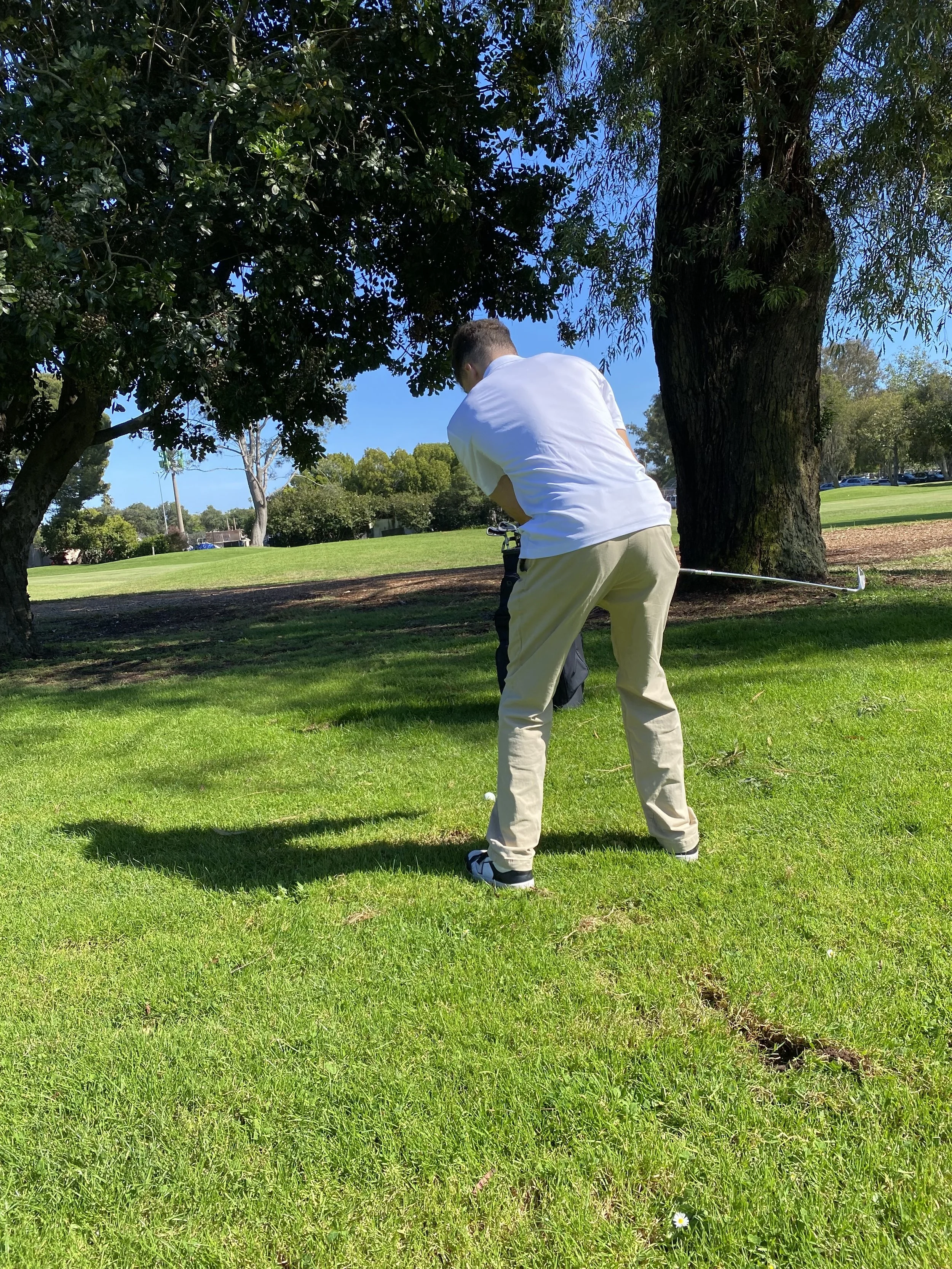 Man in white shirt and beige pants playing golf on a grassy course under a large tree with green foliage and a clear blue sky.