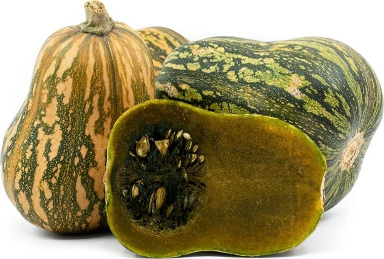 Ayote or Squash