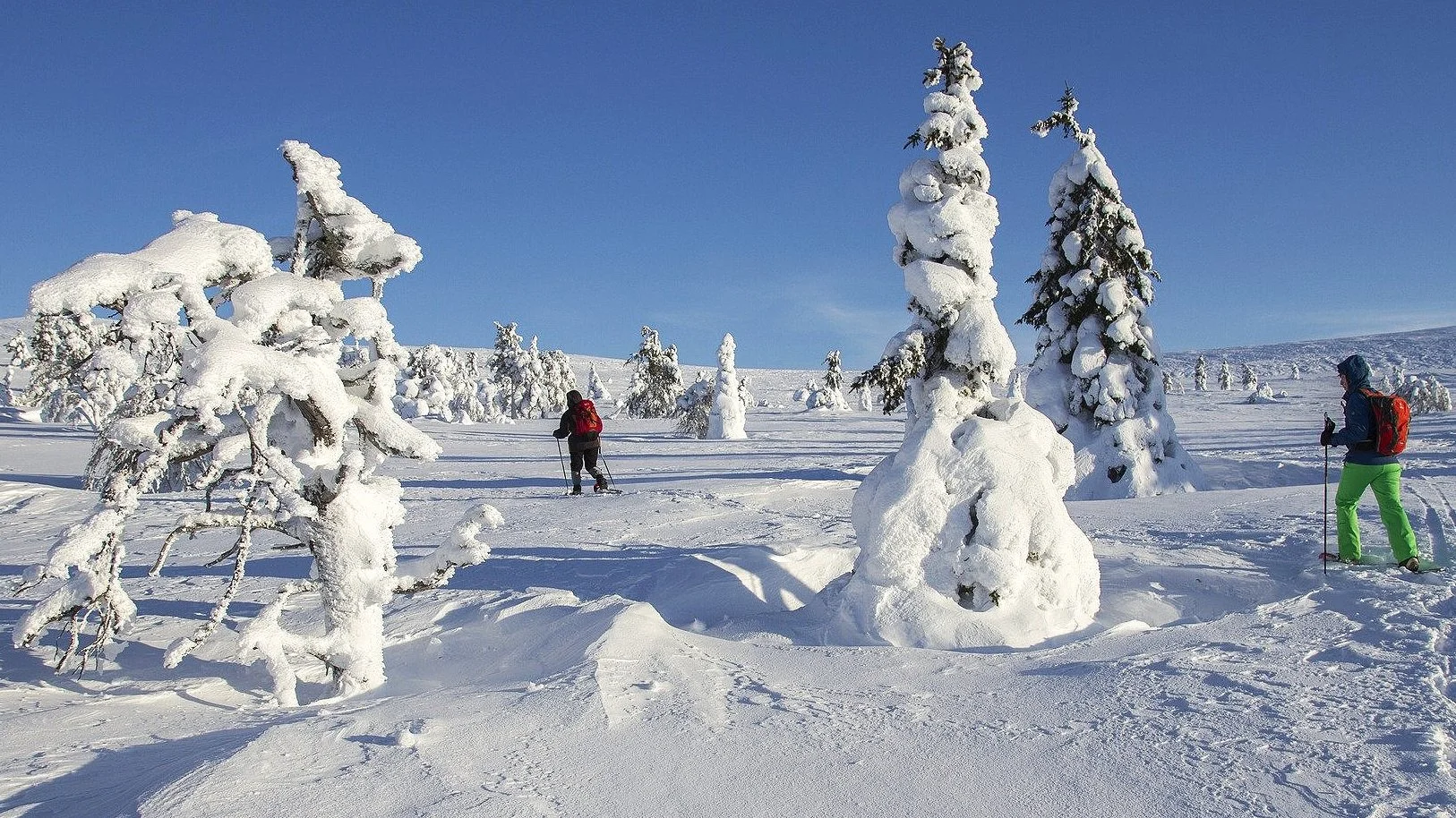 Winter Wellness: Your Guide to Staying Fit and Healthy, Osoyoos bc