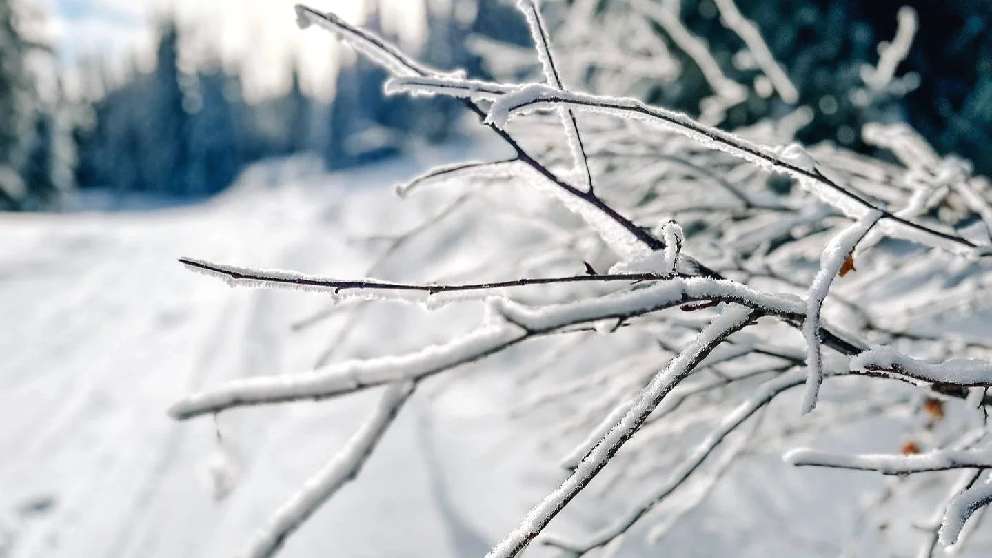 Winter Wonderland: Exploring the Best Winter Activities in &amp; Near Osoyoos BC