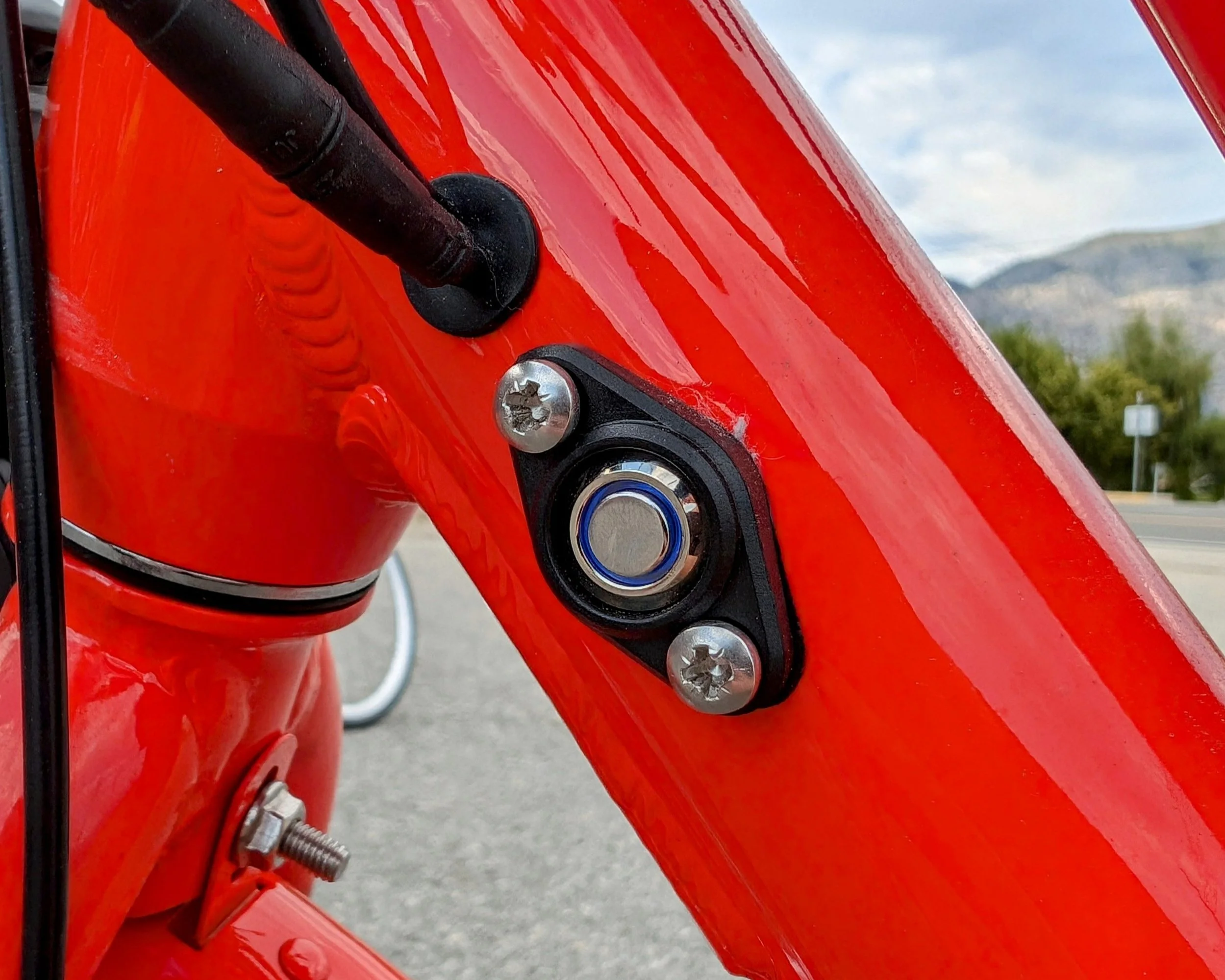Close-up of a red bicycle frame with a silver shock absorber bolt, two black screws, and a black and blue component.