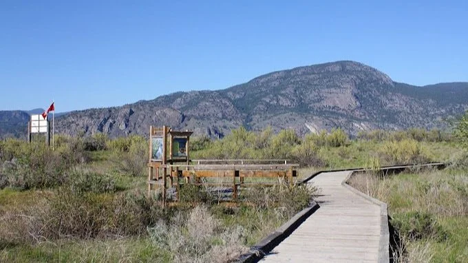 A wooden boardwalk in a natural landscape with mountains in the background, an informational sign, and Canadian flag on a pole.