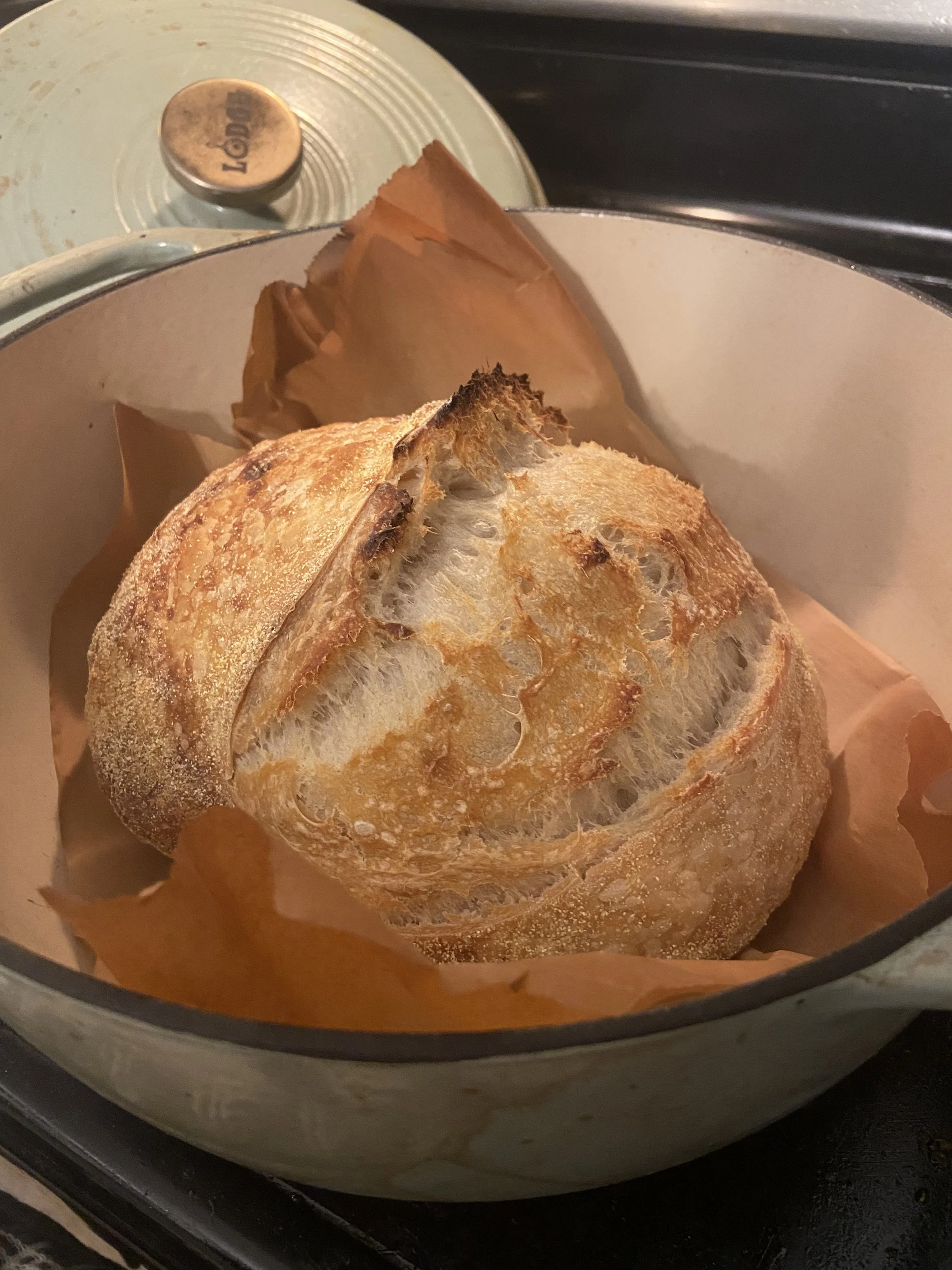 A loaf of freshly baked sourdough bread in a baking dish.