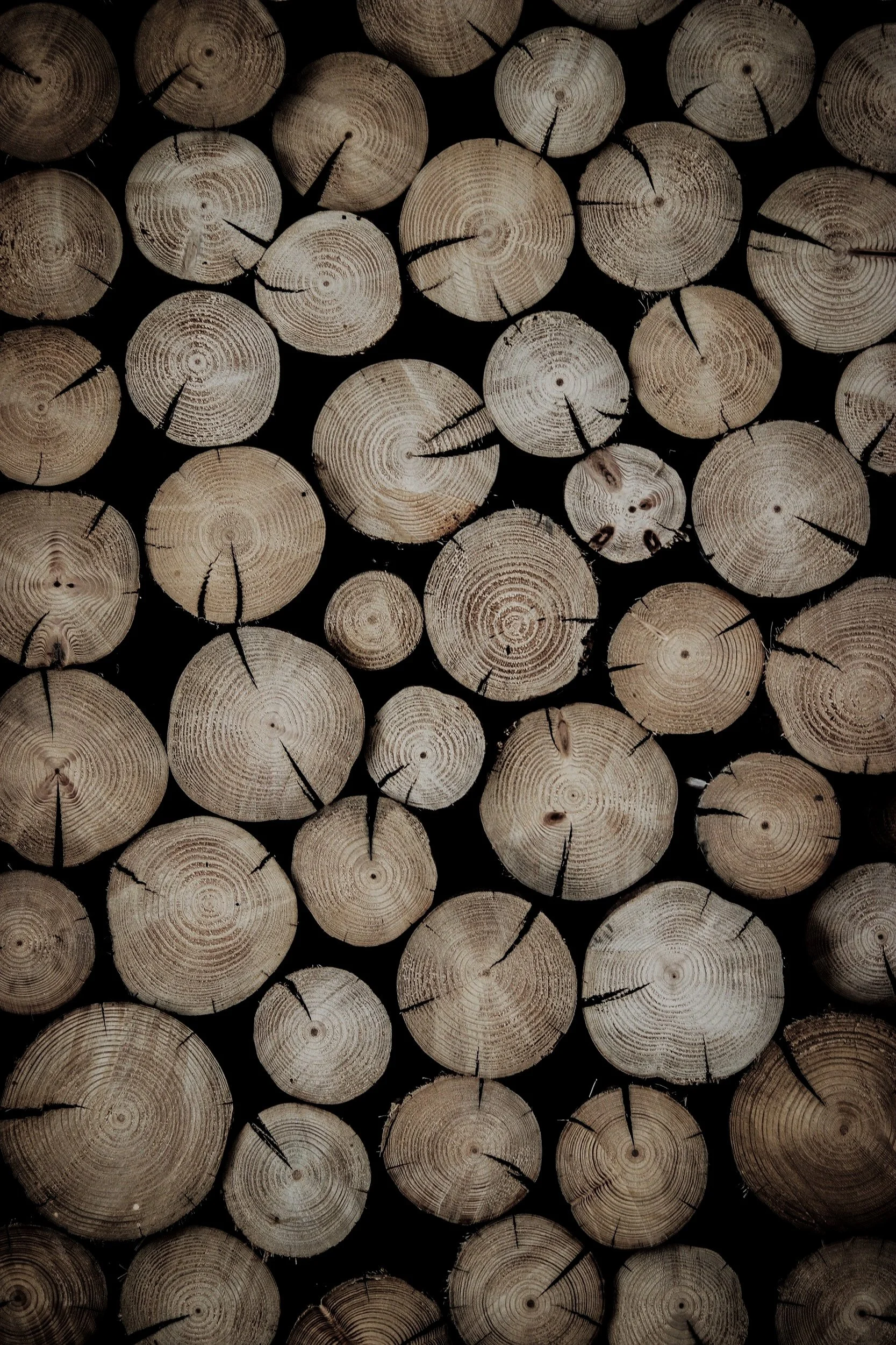 Stacked cross-cut logs showing tree rings and cracks.