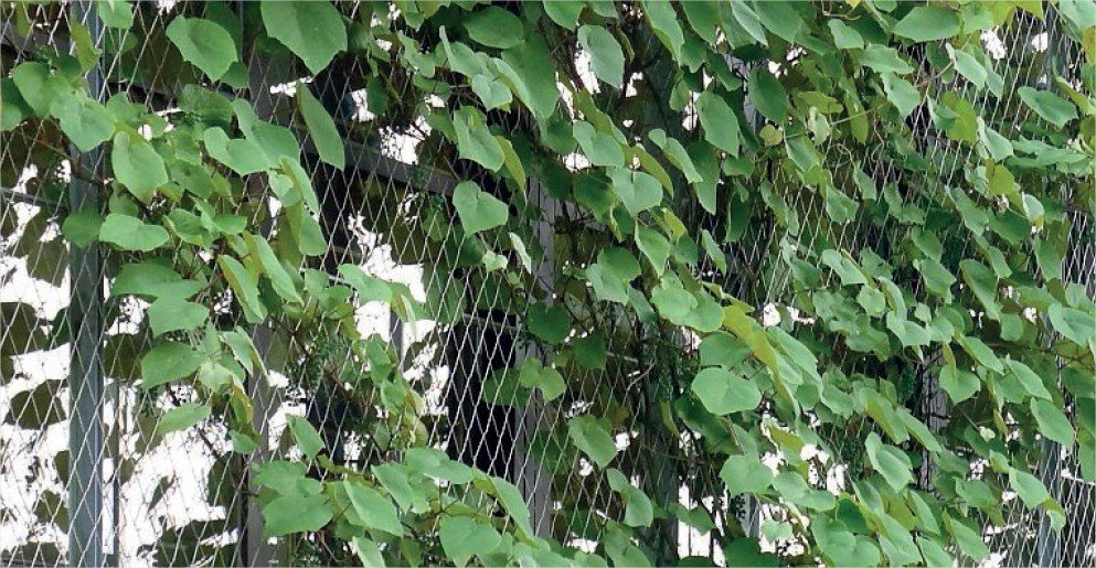 zone-commerciale-pepinieriste-var-facade-vegetalisee.jpg