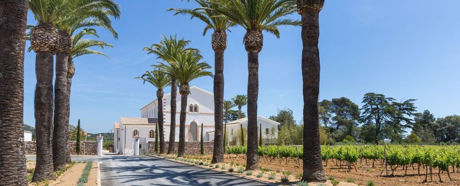 caveau-domaine-chateau-bastidon-la-londe-entree.jpg