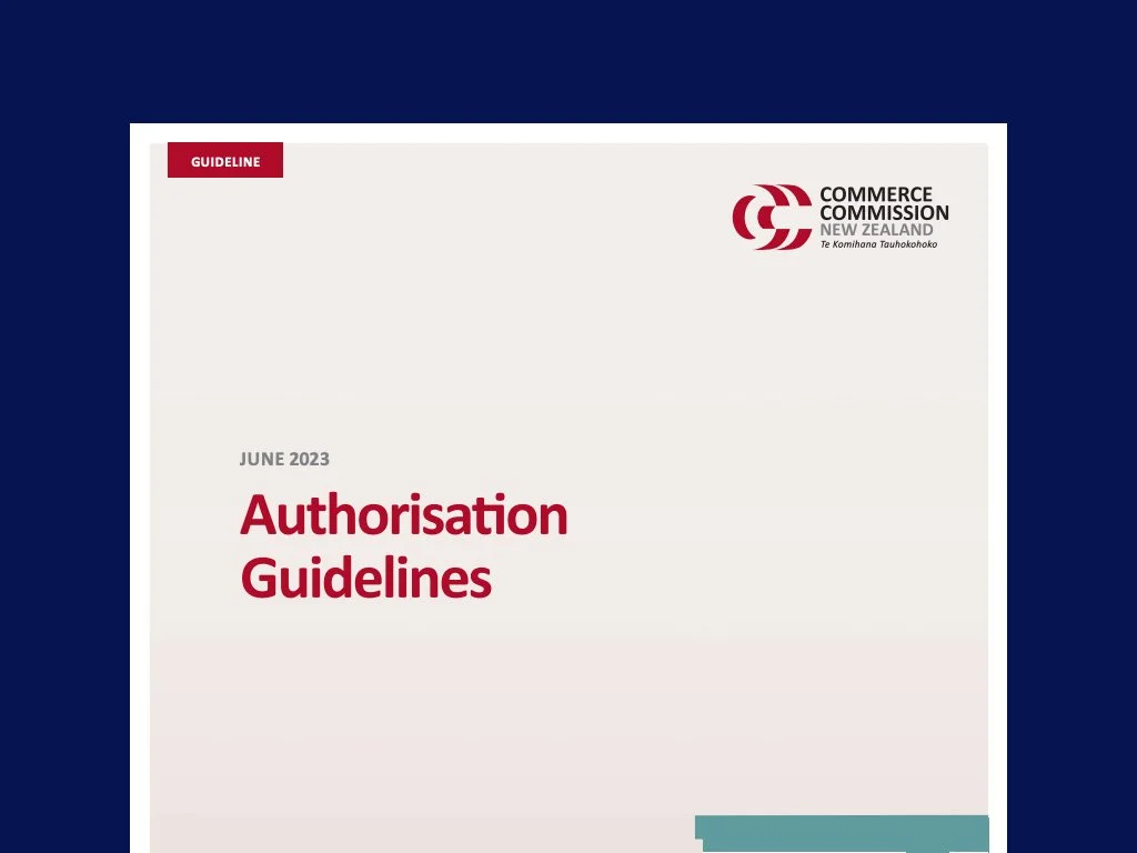 Authorisation Guidelines