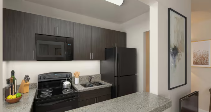 Modern kitchen with black appliances, gray cabinets, a speckled gray countertop, a small plant, and artwork on the wall.