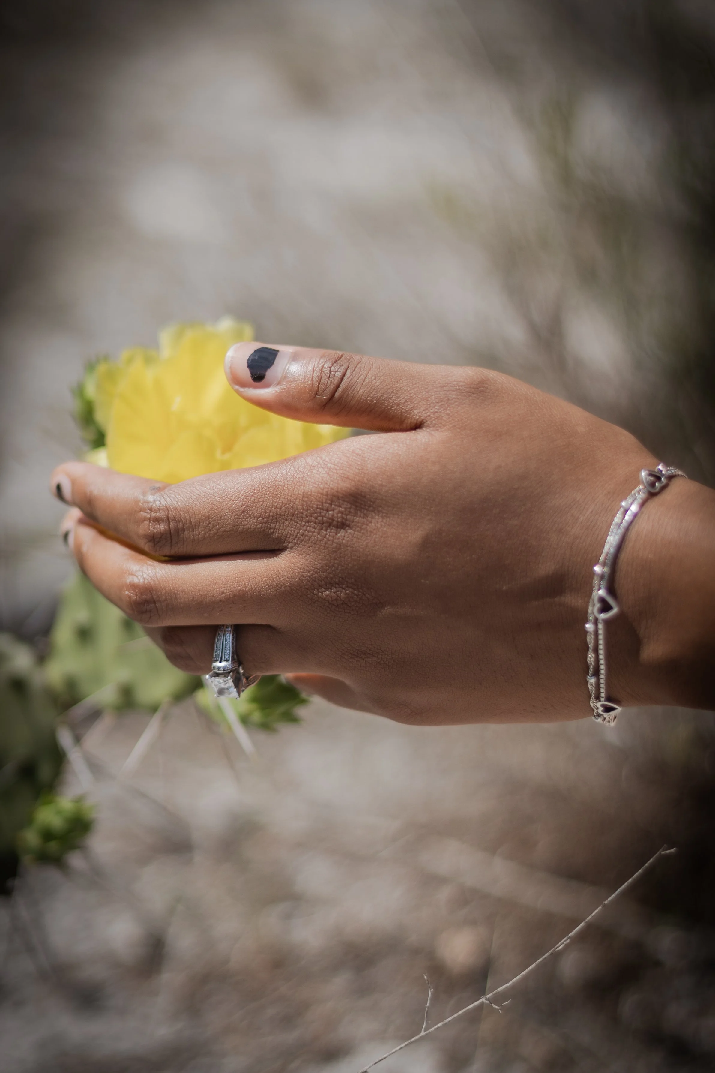 A person's hand holding a yellow flower outdoors, wearing rings and bracelets, with a blurred background of natural surroundings.