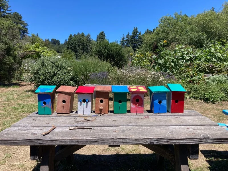 Summer Garden Camp Sign Up