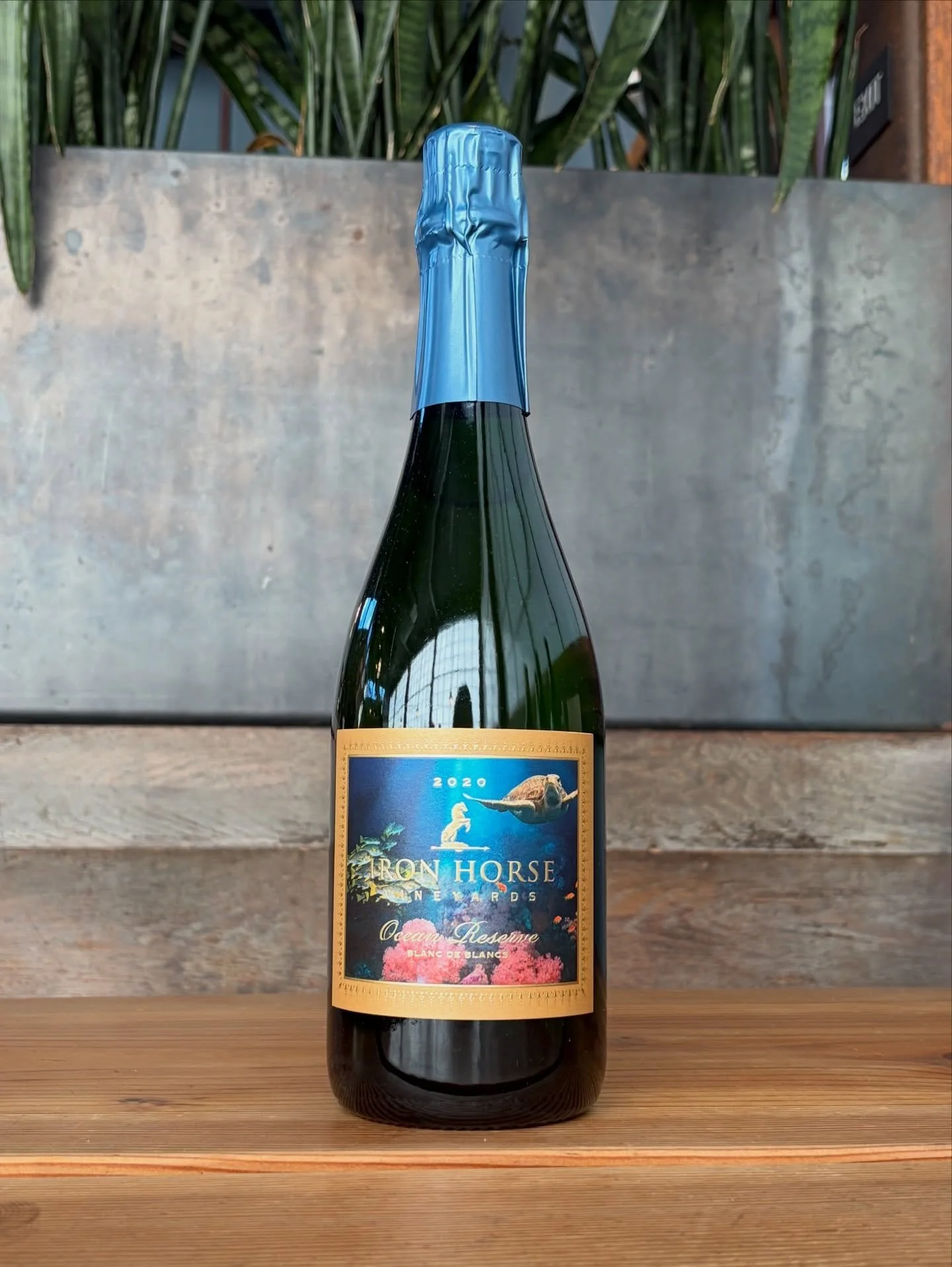 Wine spotlight: Ocean Reserve 🌊 (sparkling✨)

2020 Ocean Reserve from Iron Horse is a limited-production vintage Blanc de Blancs that gives back with every bottle.

Crafted with coastal influence from vineyard to glass, every bottle of Ocean Reserve