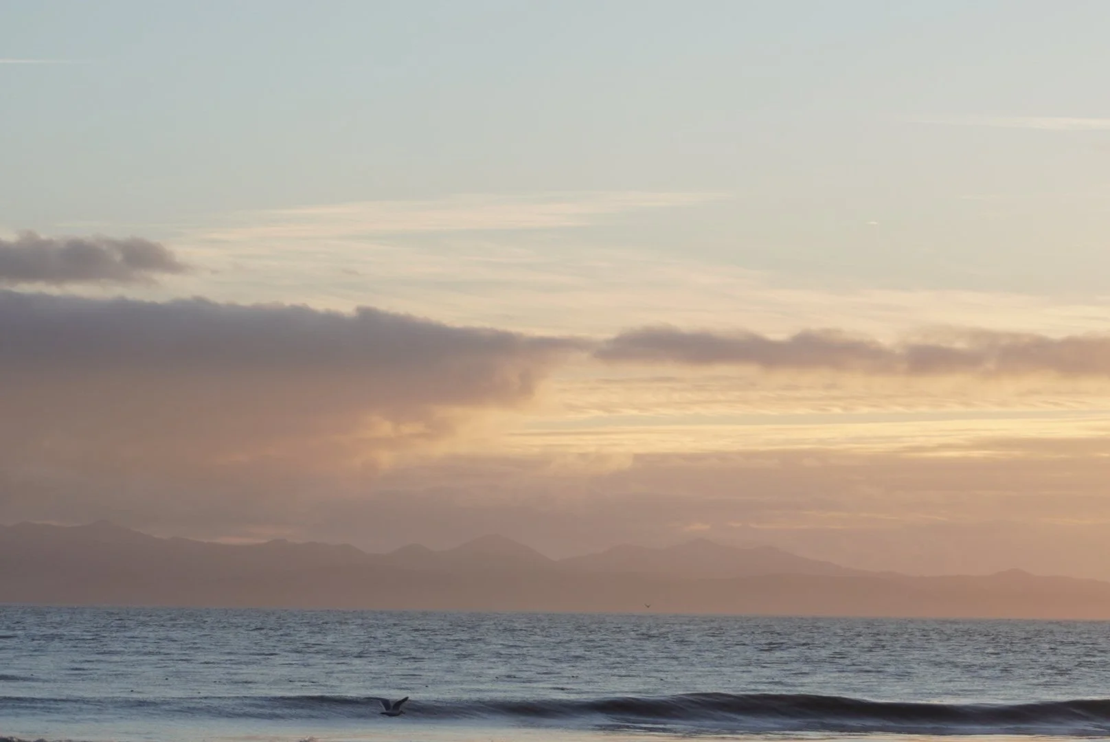 Cupping Therapy Benefits: 7 Powerful Reasons to Try It