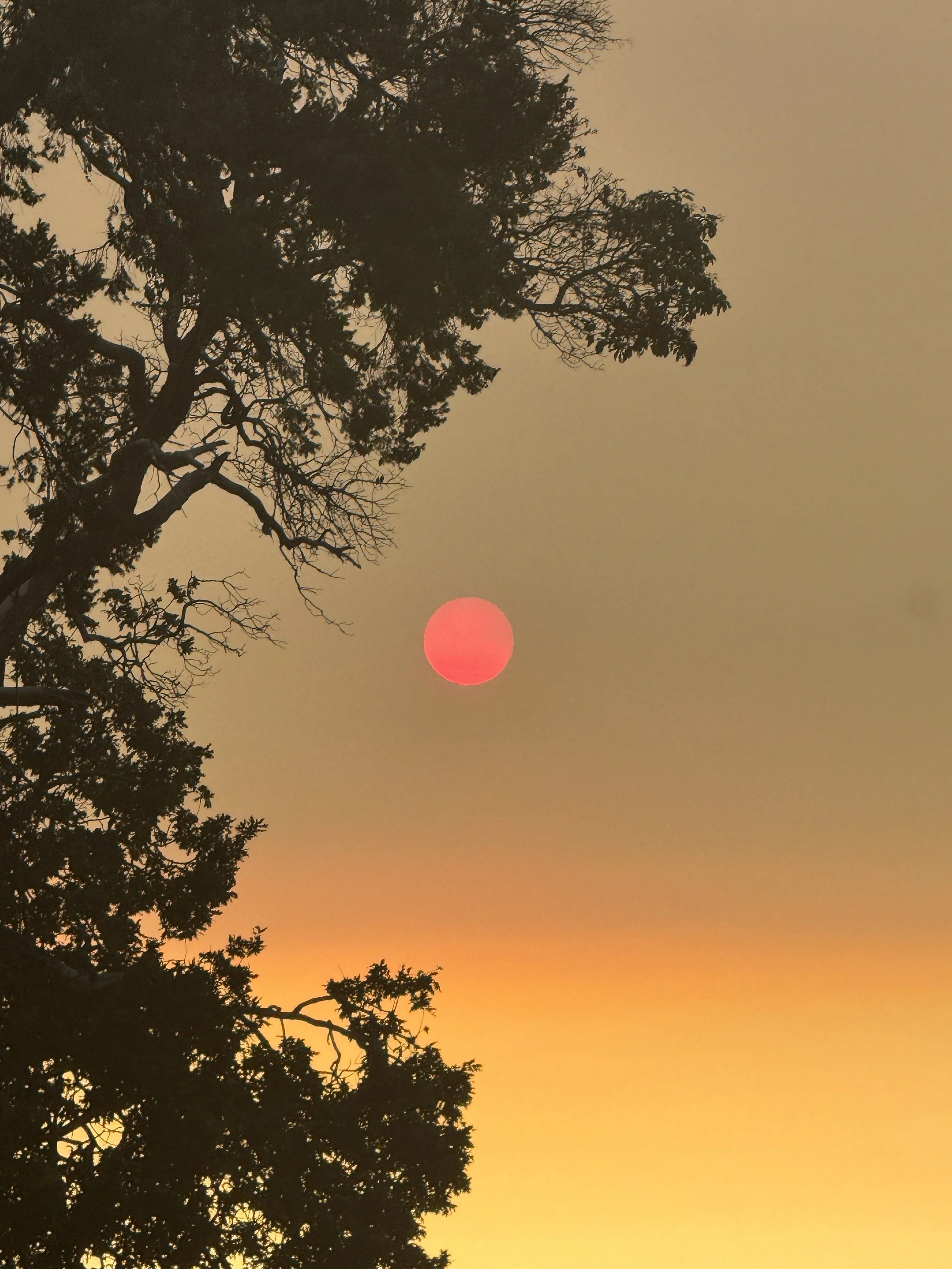 Sunset in Tofino representing qi gong treatment, balance, and energy flow
