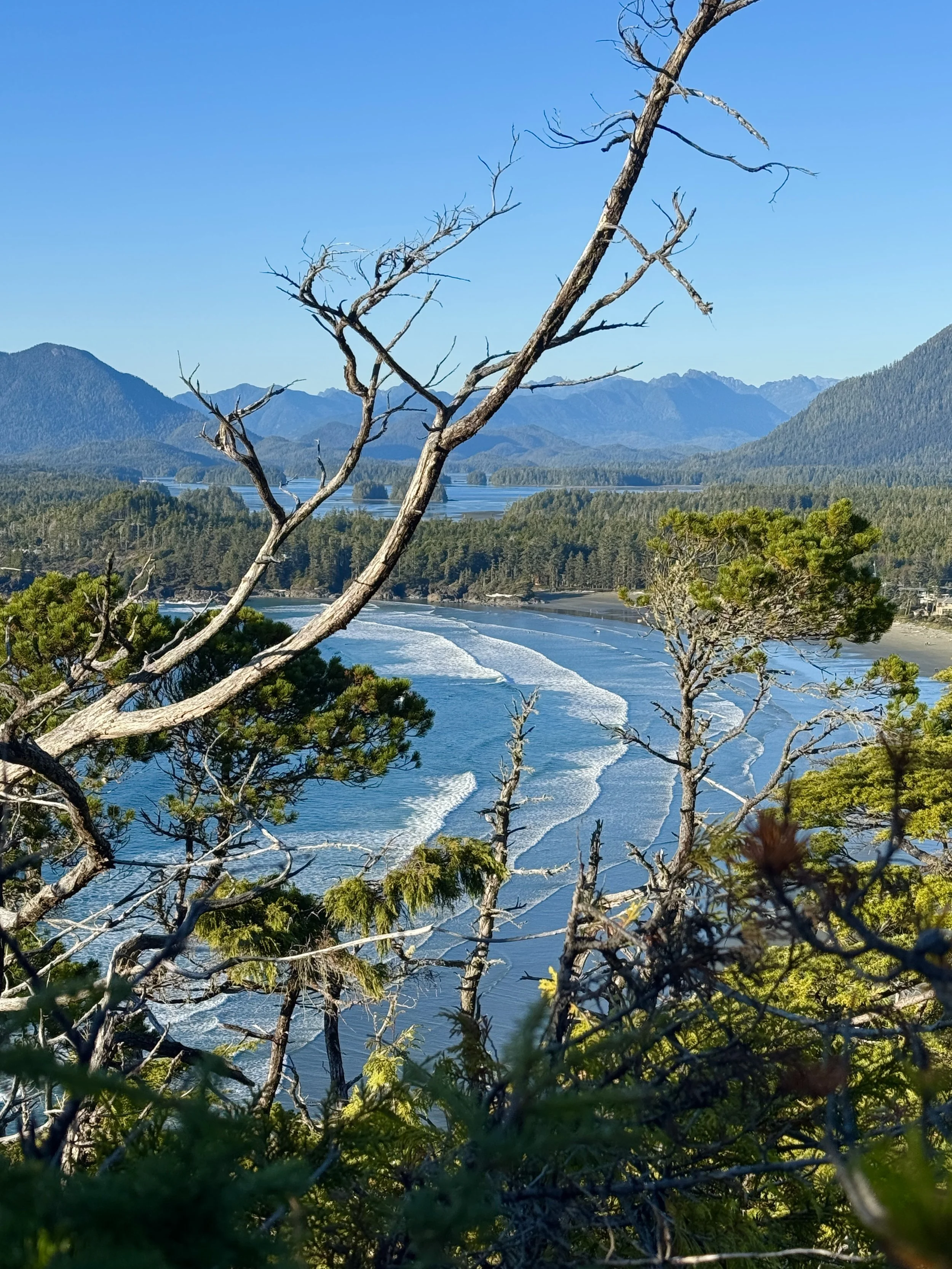 Westcoast Tofino Contact Us image
