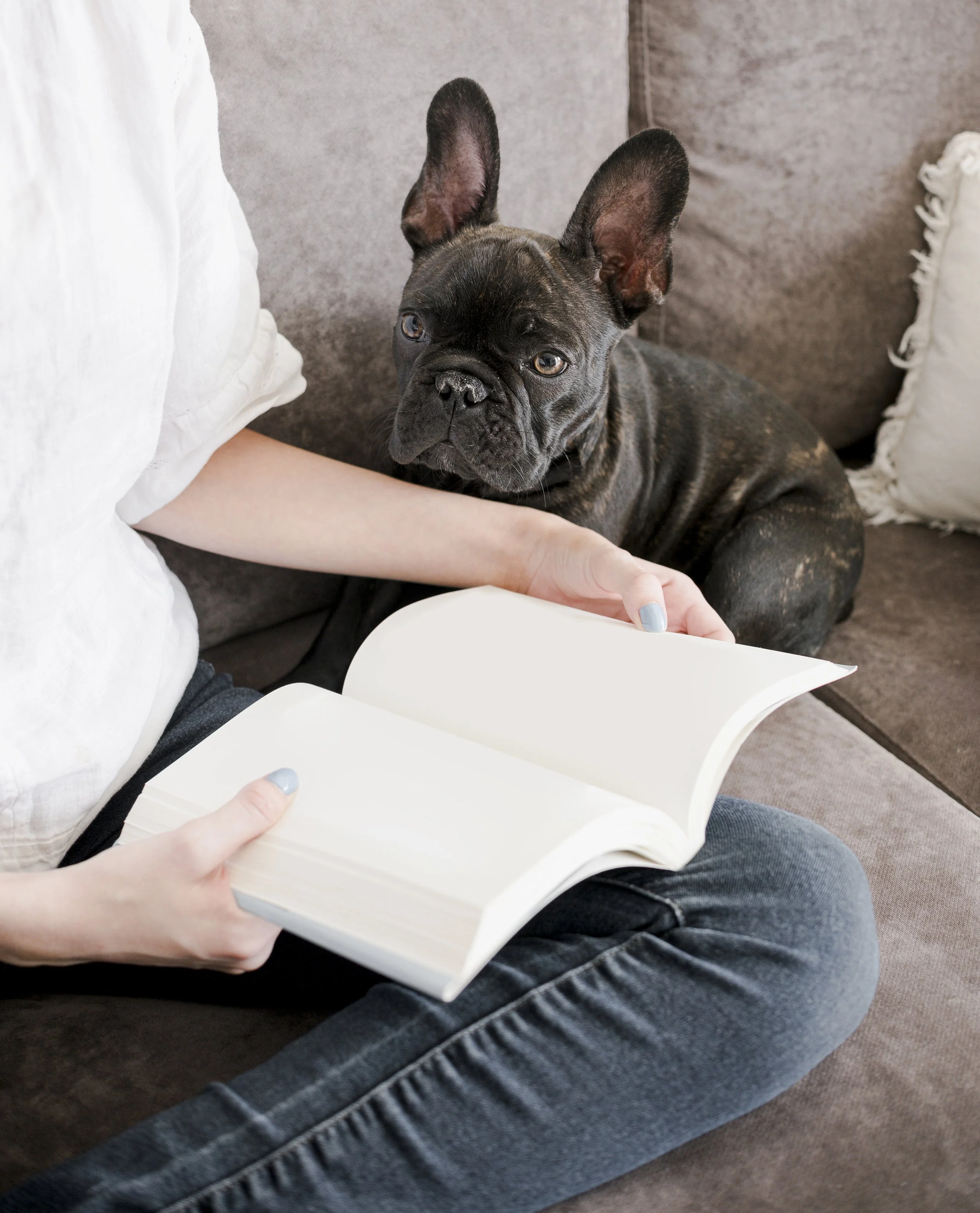 A person sitting on a couch with a book, with a French Bulldog sitting next to them.