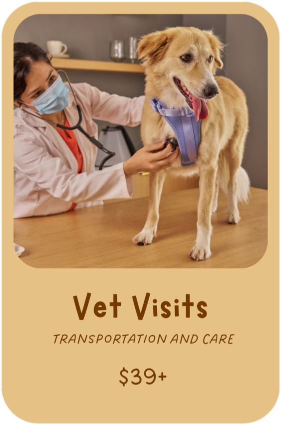 A veterinarian examining a happy golden retriever dog with a purple harness inside a veterinary clinic, with text offering transportation and care for vet visits starting at $39, plus $20 per hour after the first hour.