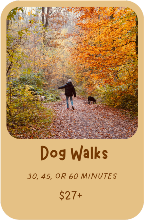 A person walking a dog on a forest trail during autumn with colorful orange and yellow leaves with text offering 30, 45, and 60 minute dog walks starting at $27.