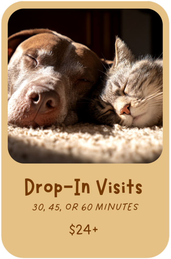 Drop In Visits -- 30, 45, or 60 minutes