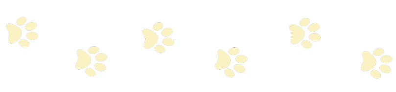 Six beige paw prints on a black background.