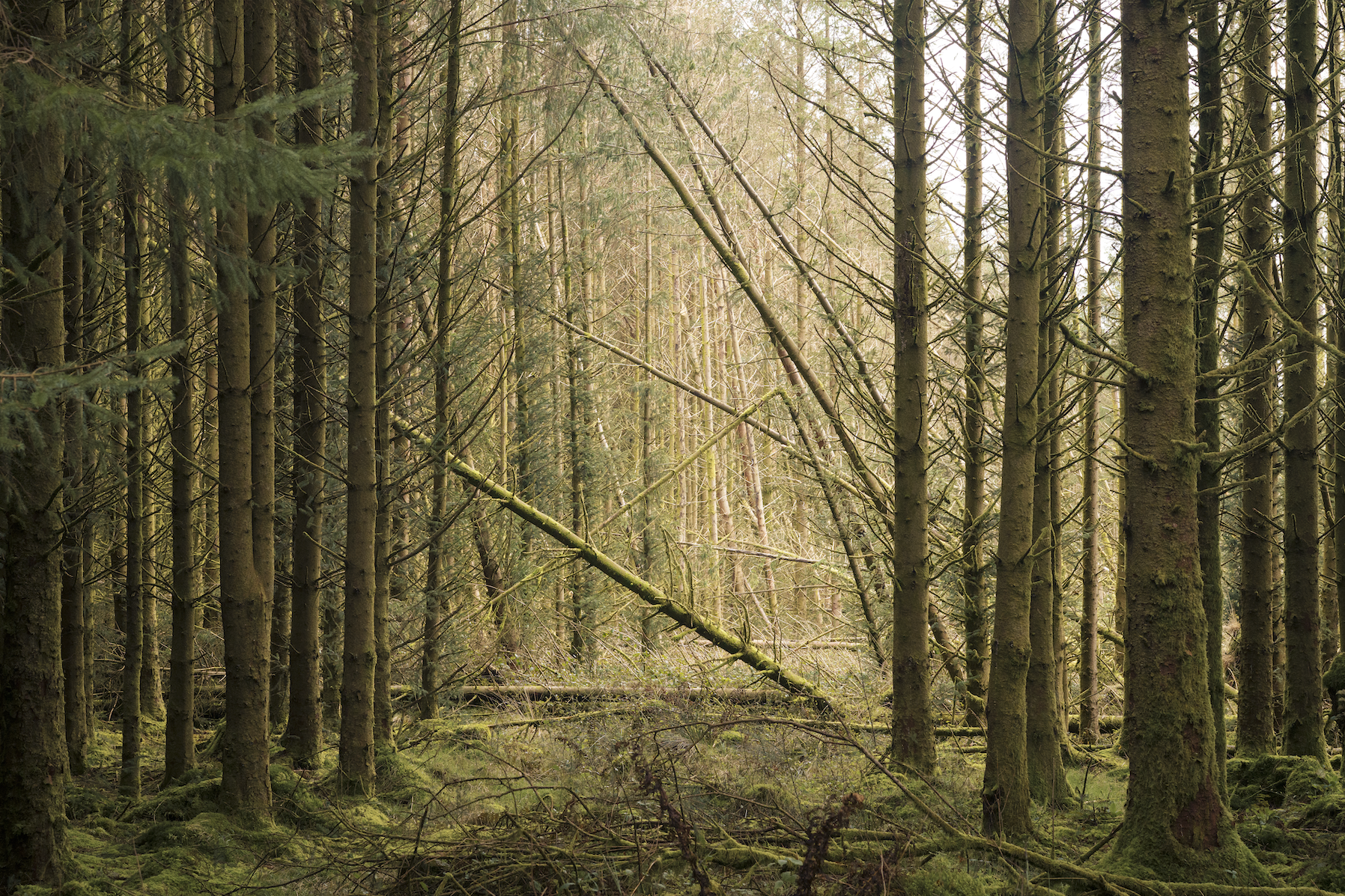 Screenshot 2026-03-17 at 16.06.17.png