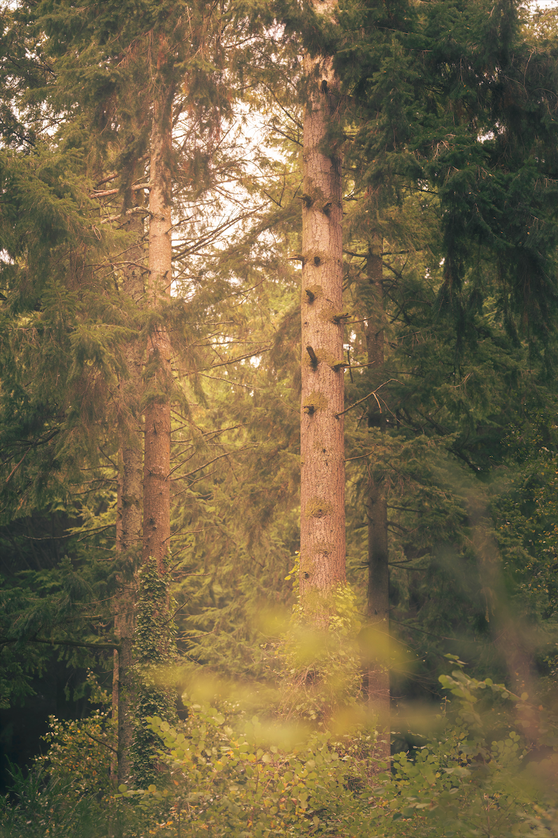 Screenshot 2026-04-30 at 12.11.49.png