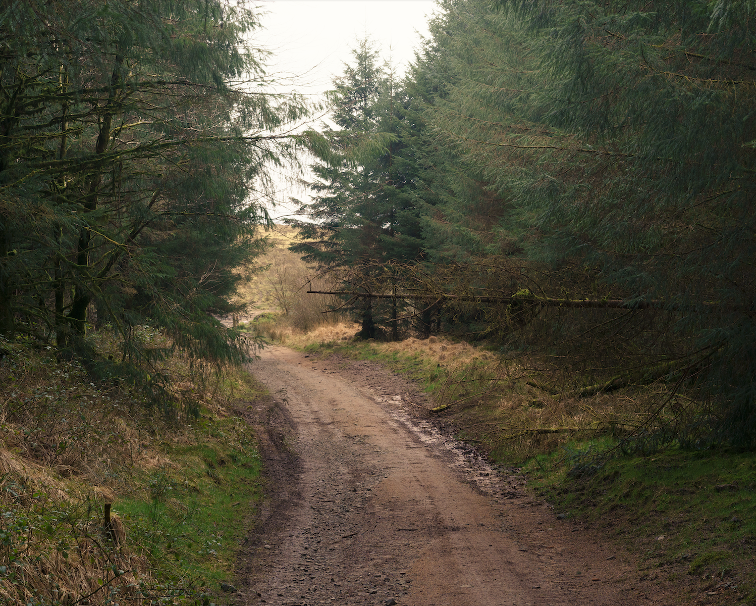 Screenshot 2026-04-30 at 12.56.25.png