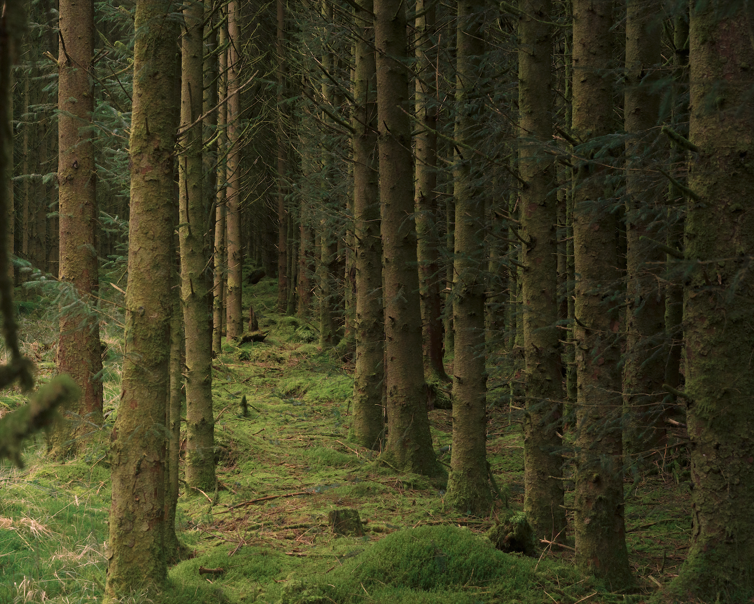 Screenshot 2026-04-30 at 12.57.09.png