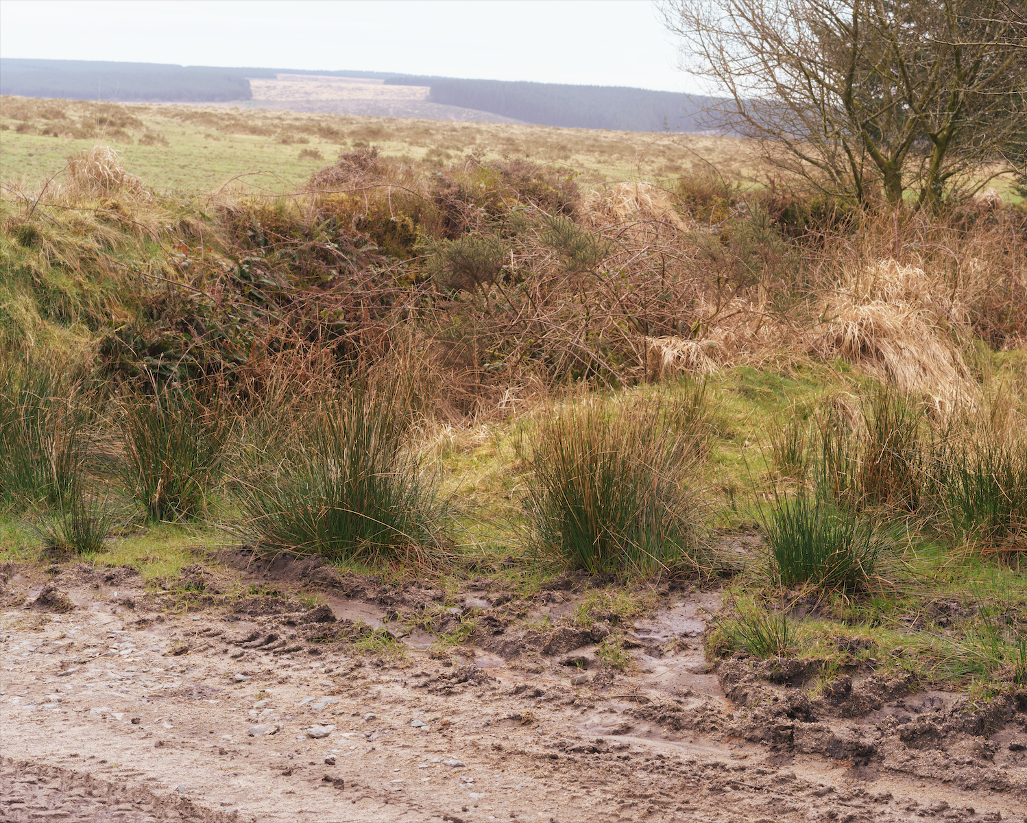 Screenshot 2026-04-30 at 12.53.28.png