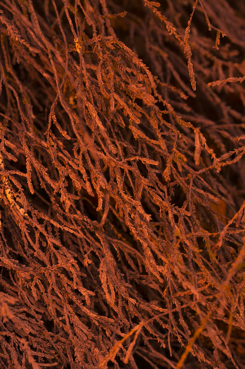 Screenshot 2026-04-30 at 11.53.17.png