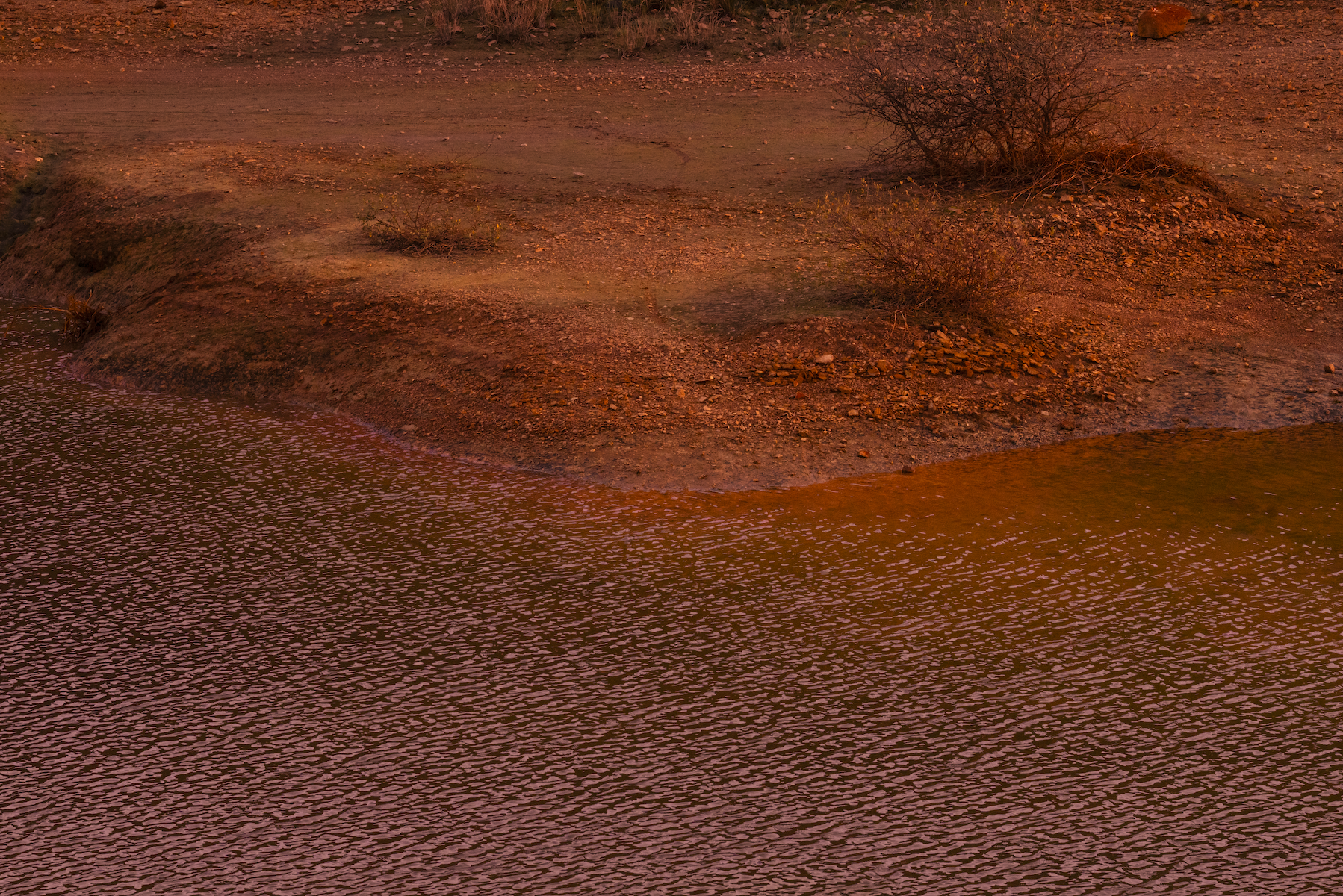 Screenshot 2026-04-30 at 11.50.29.png