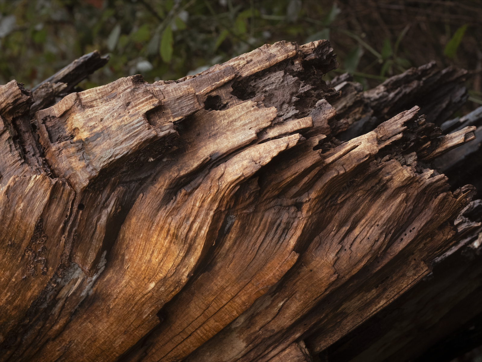 Screenshot 2026-04-30 at 12.32.08.png