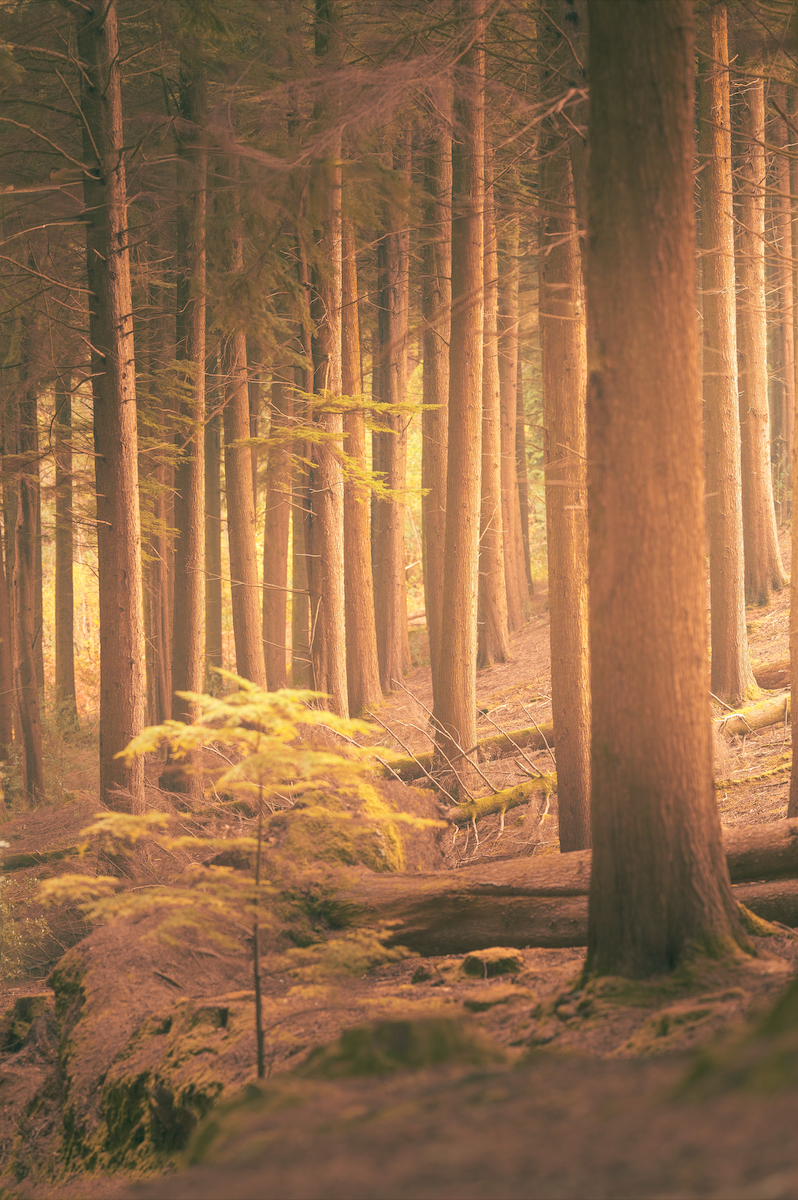 Screenshot 2026-04-30 at 12.10.16.png