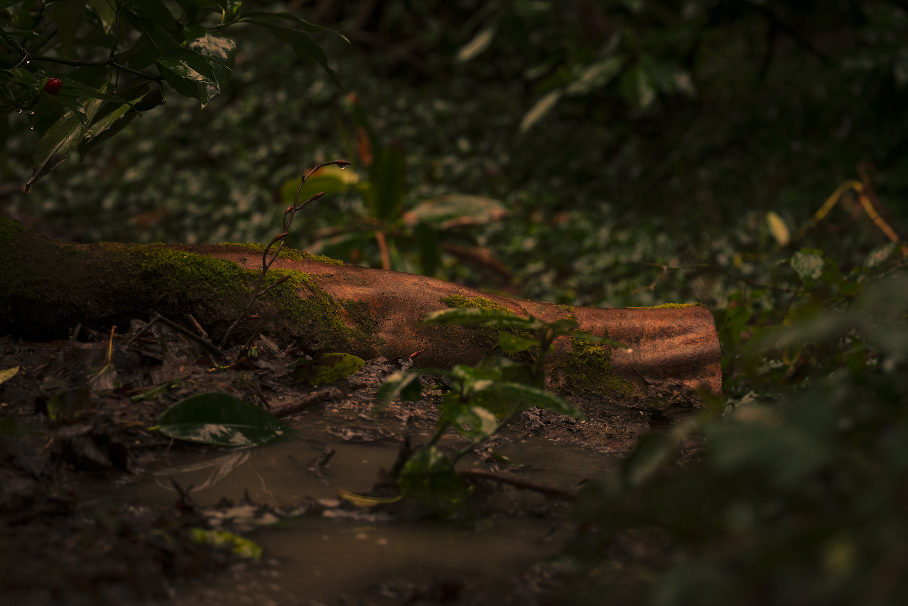 Screenshot 2026-04-30 at 12.28.30.png