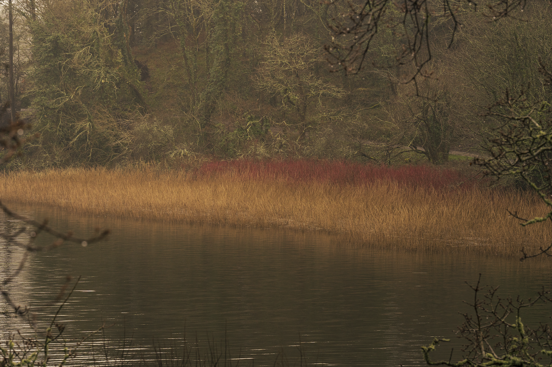 Screenshot 2026-03-17 at 15.44.35.png