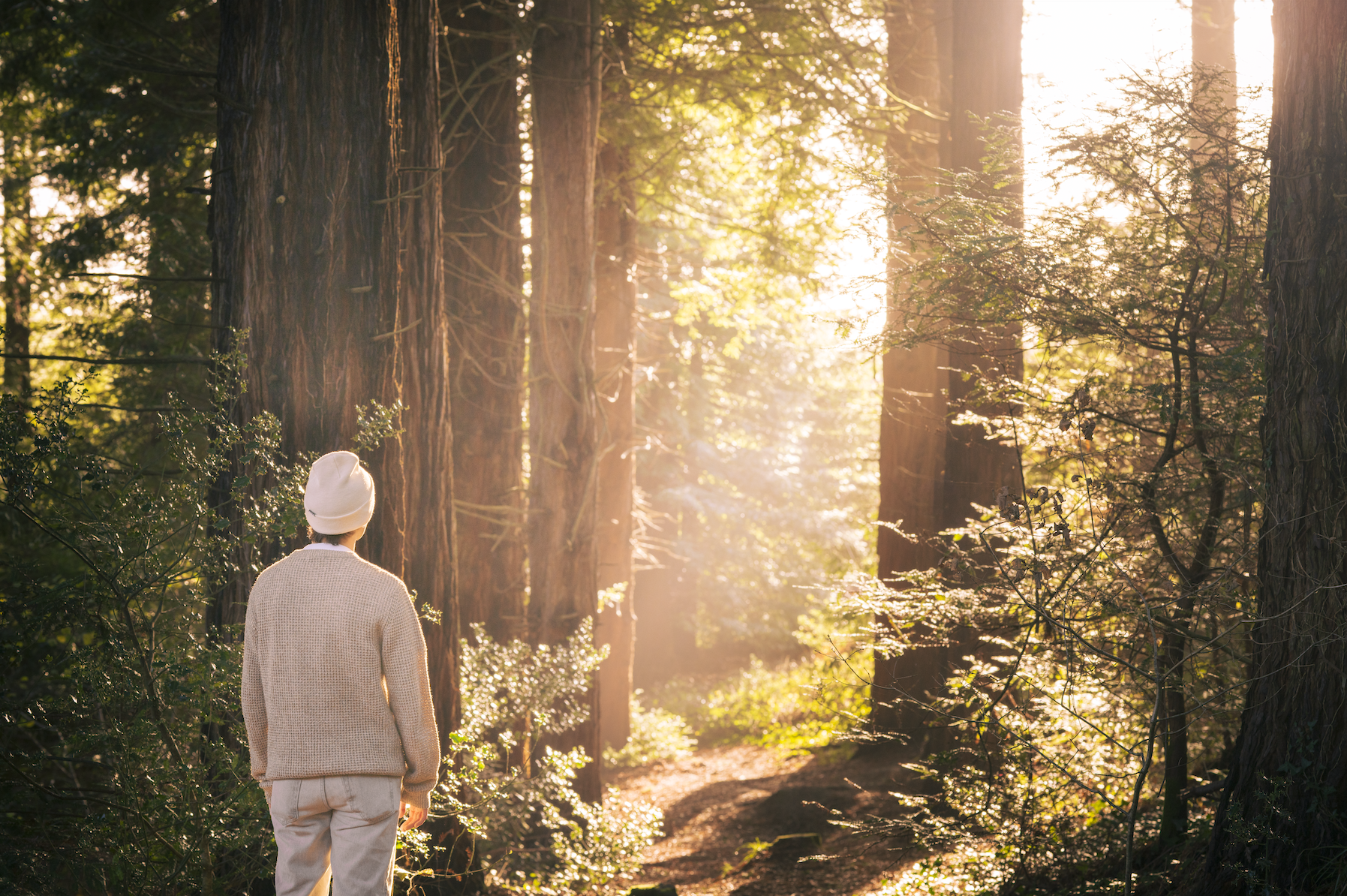 Screenshot 2026-03-17 at 15.35.52.png