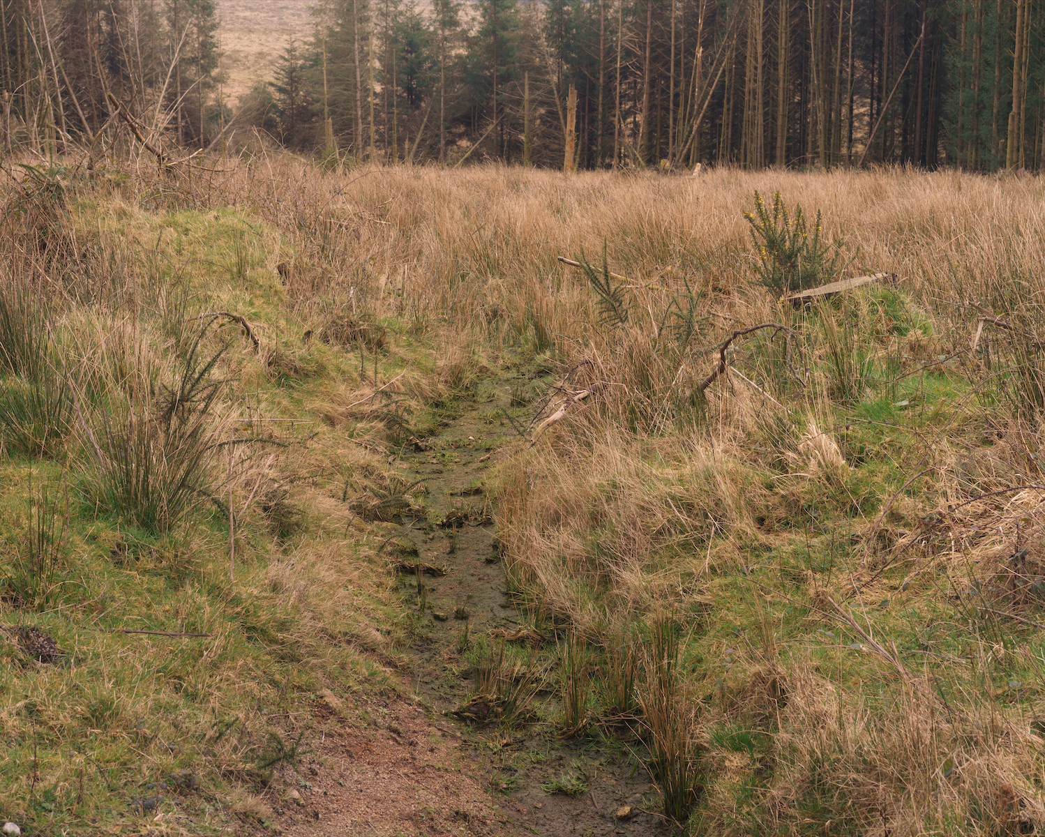 Screenshot 2026-04-30 at 12.58.52.png