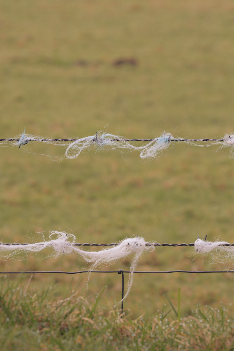 Screenshot 2026-04-30 at 12.55.55.png